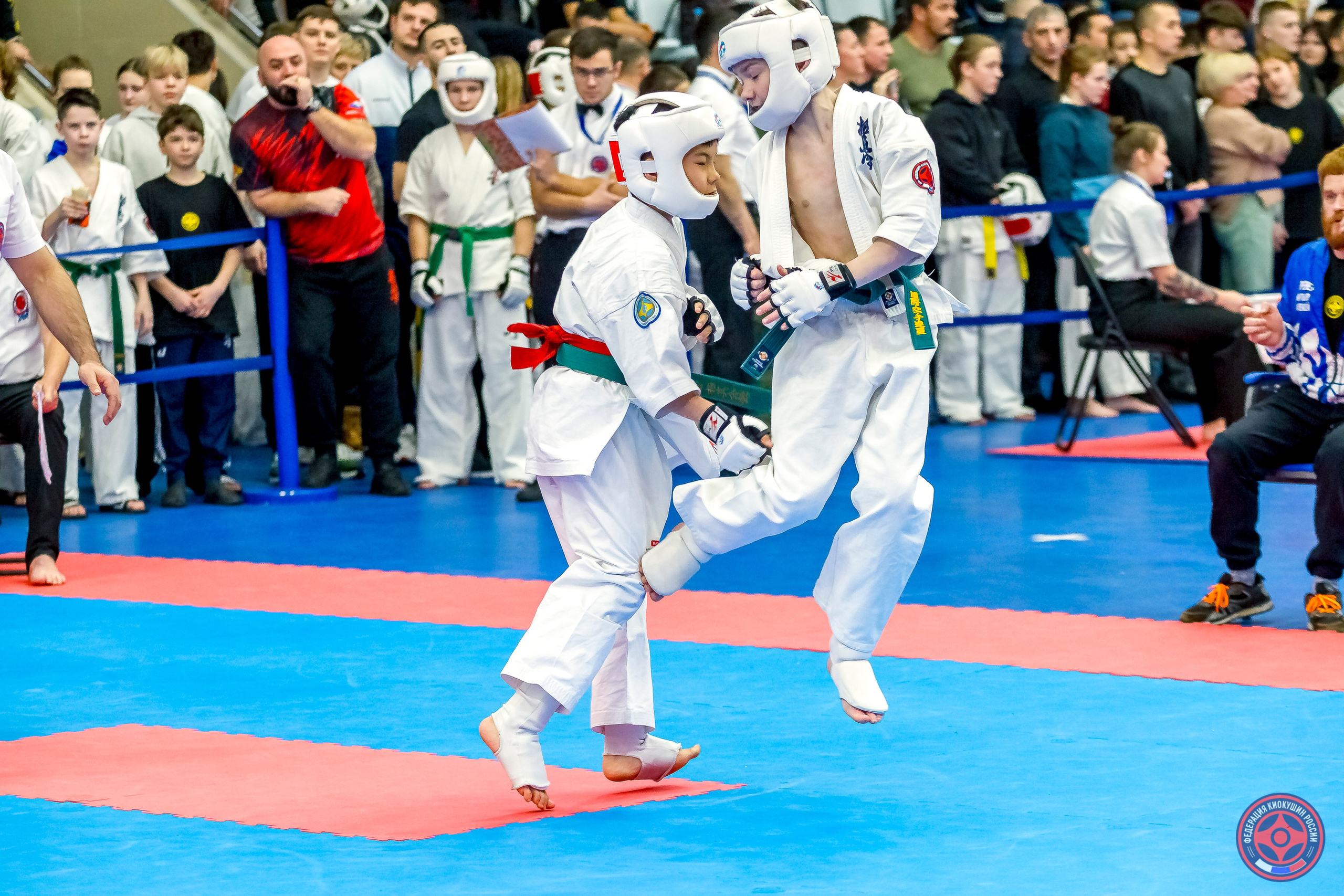 Международный турнир по киокушин «Открытый кубок Seiken». Репортажная съемка в Москве и области. Анималистика