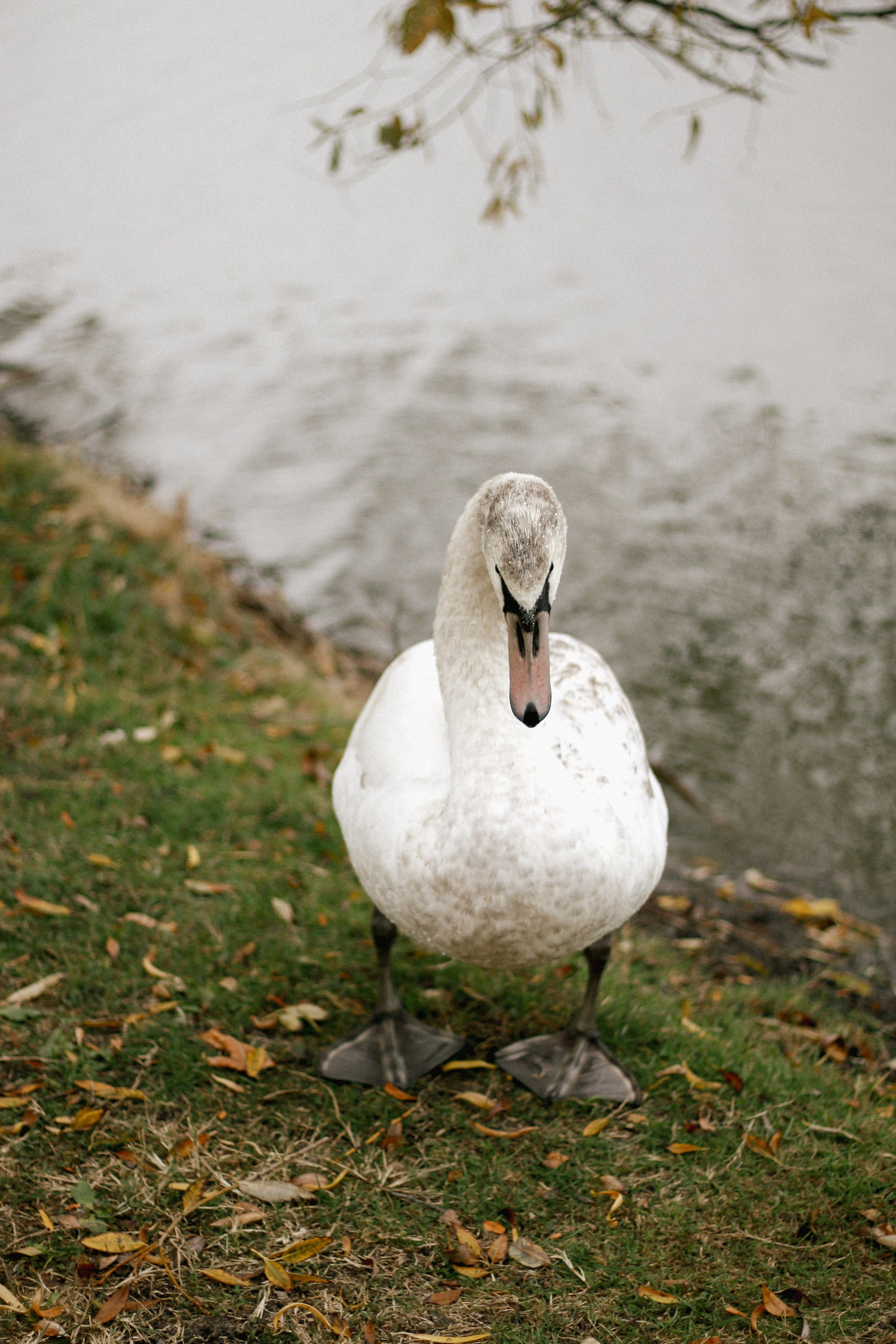 A&K. Фотограф Краснодар