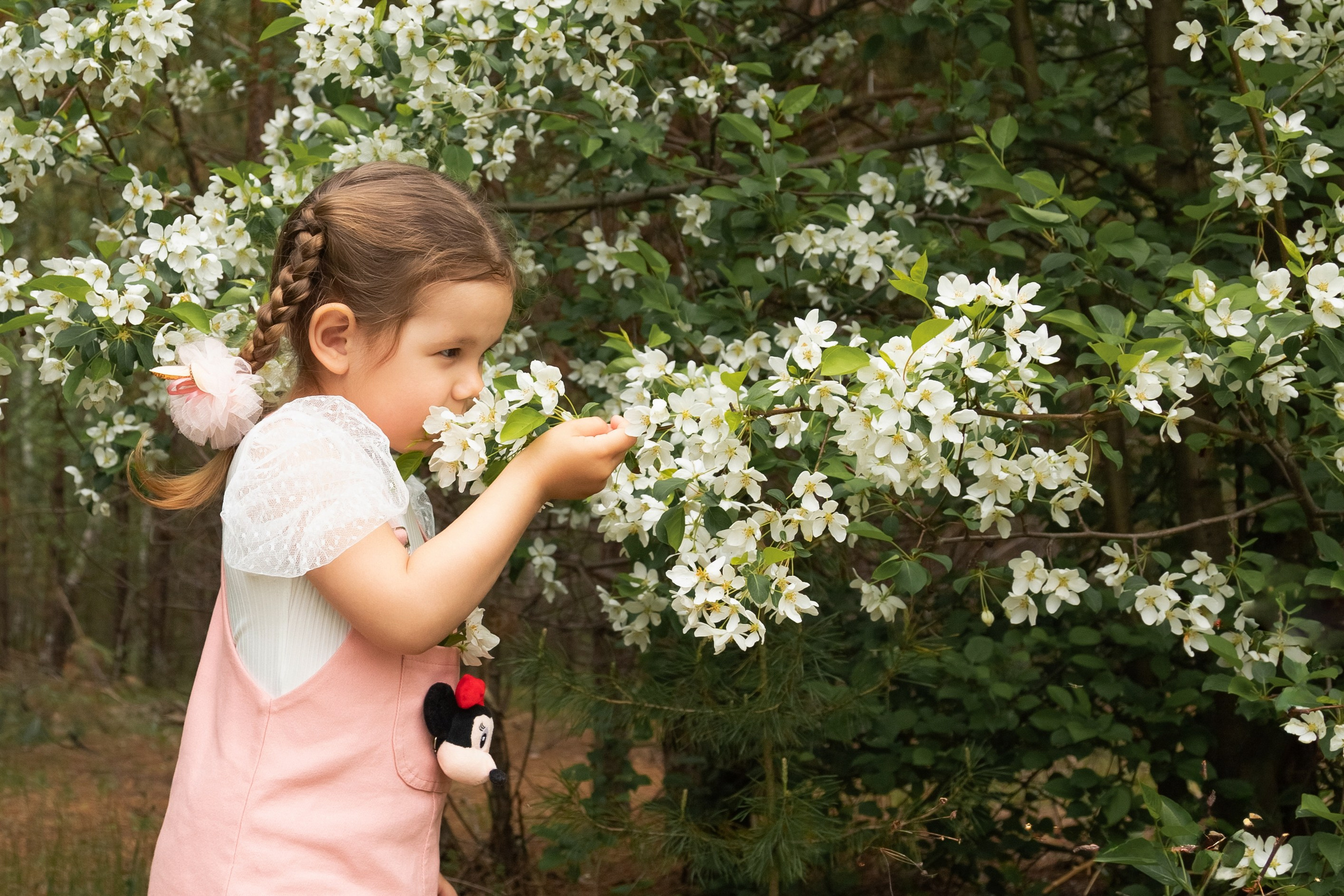 Яблоневый цвет. Фотограф в Томске Евгения Гуляева