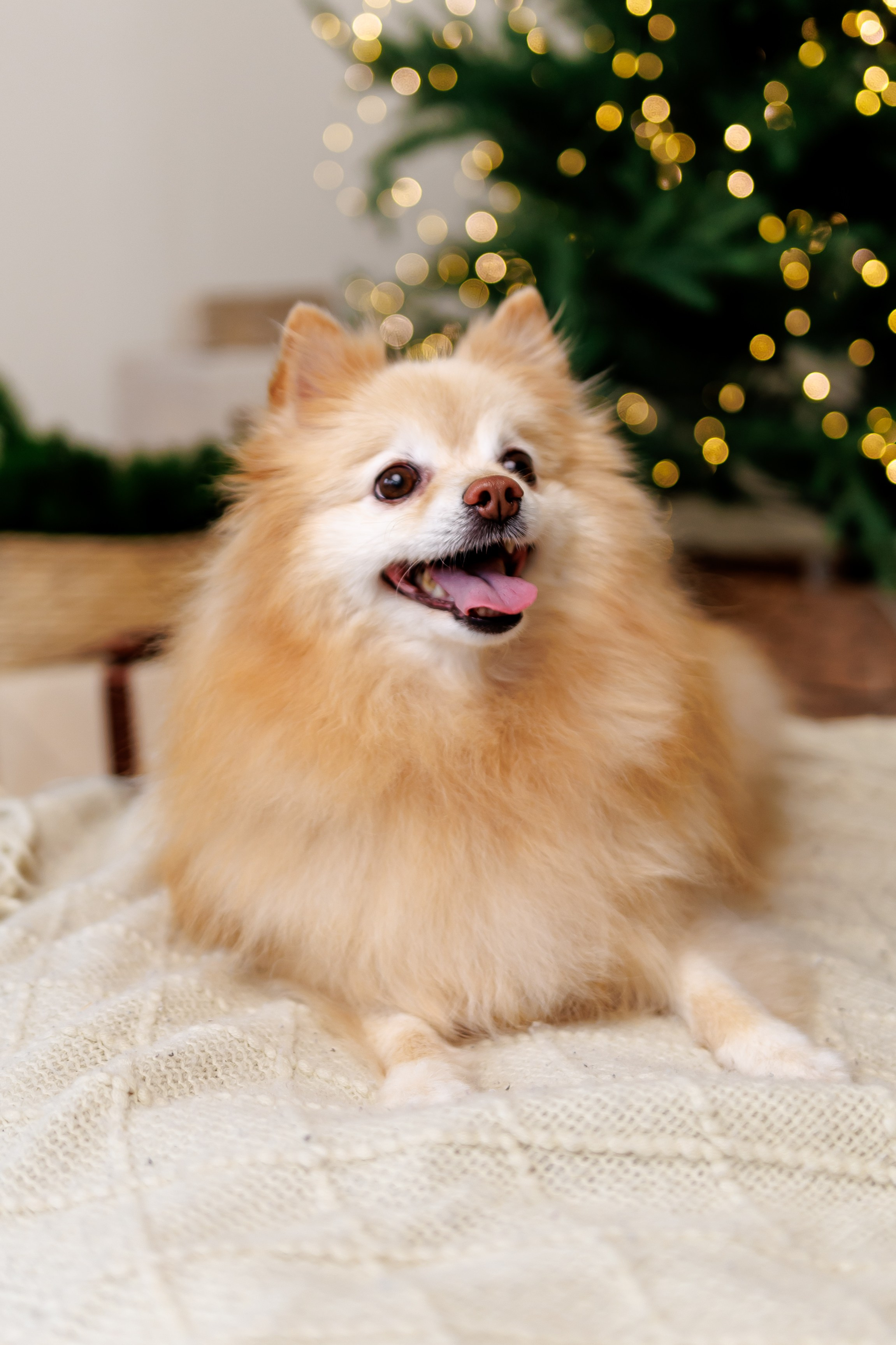 You're my sunshine. Лиза, ваш портретный и репортажный фотограф в Ульяновске!