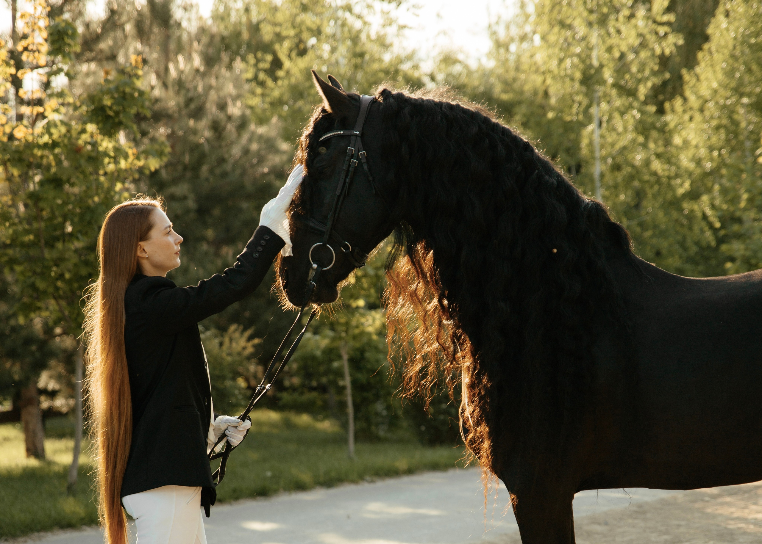Съемка с лошадью фризской породы. Семейный и конный фотограф в Краснодарском крае и Адыгее