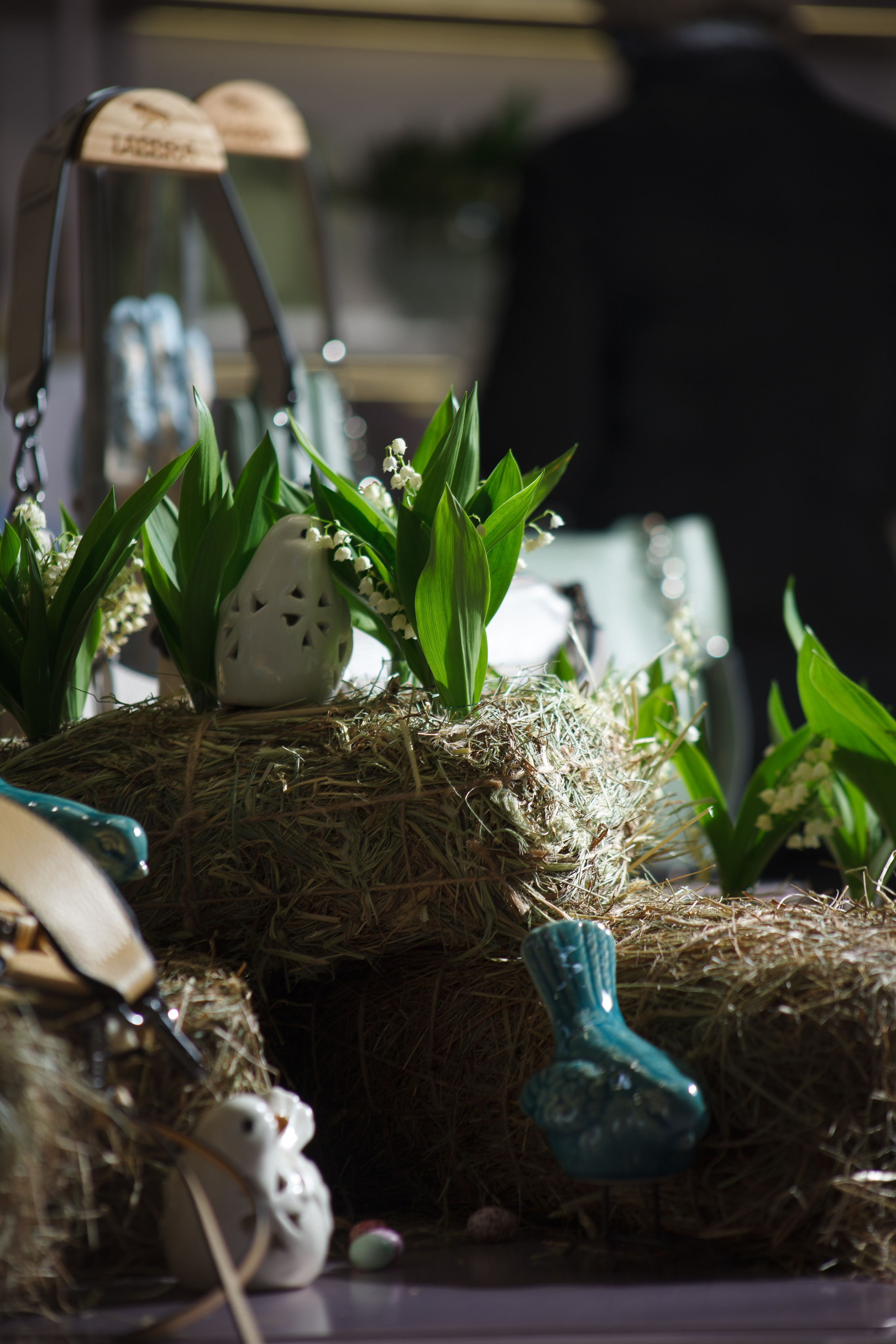 Шоппинг. Фотограф в Твери Буреев