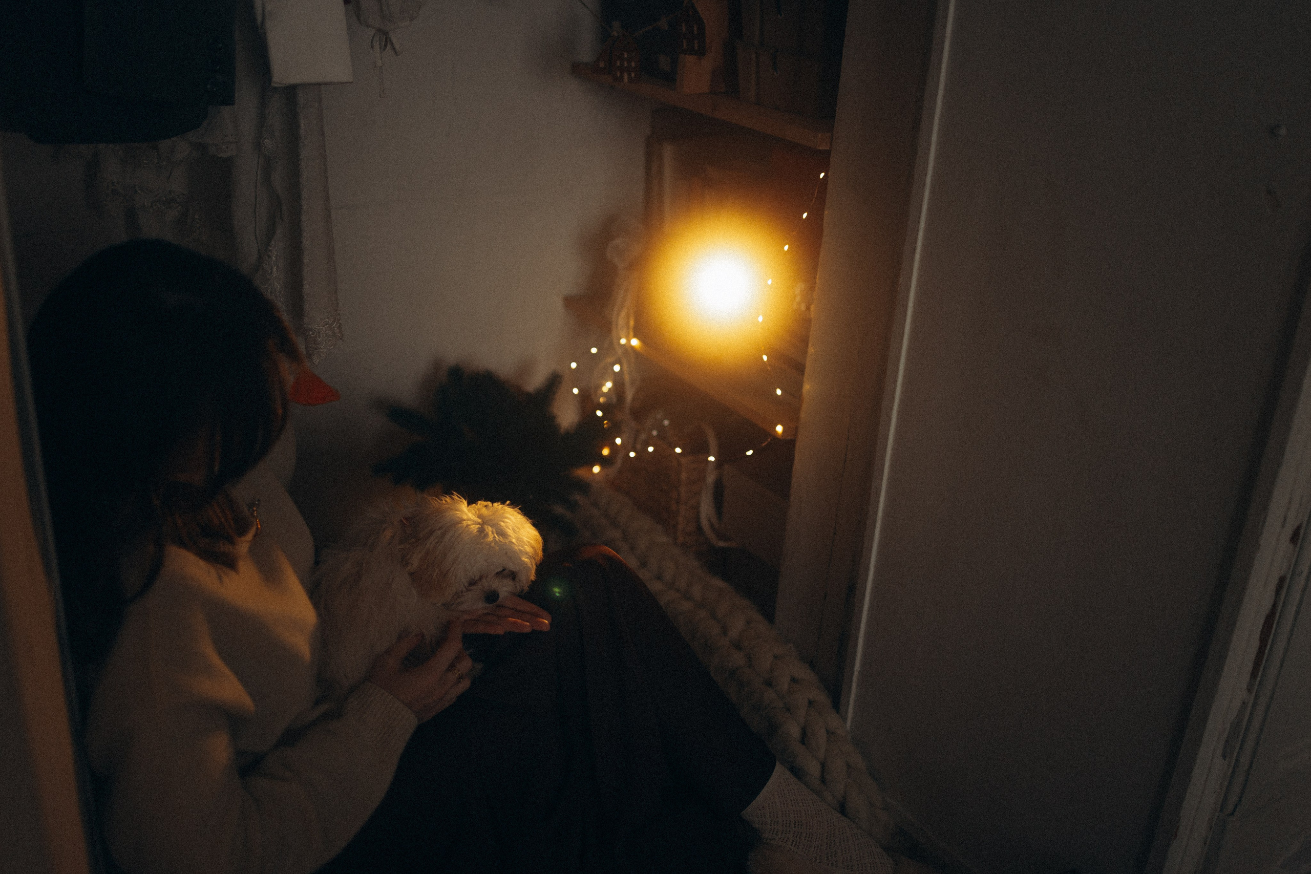 Оля и Бри. Фотораф — анималист Мария Шистка