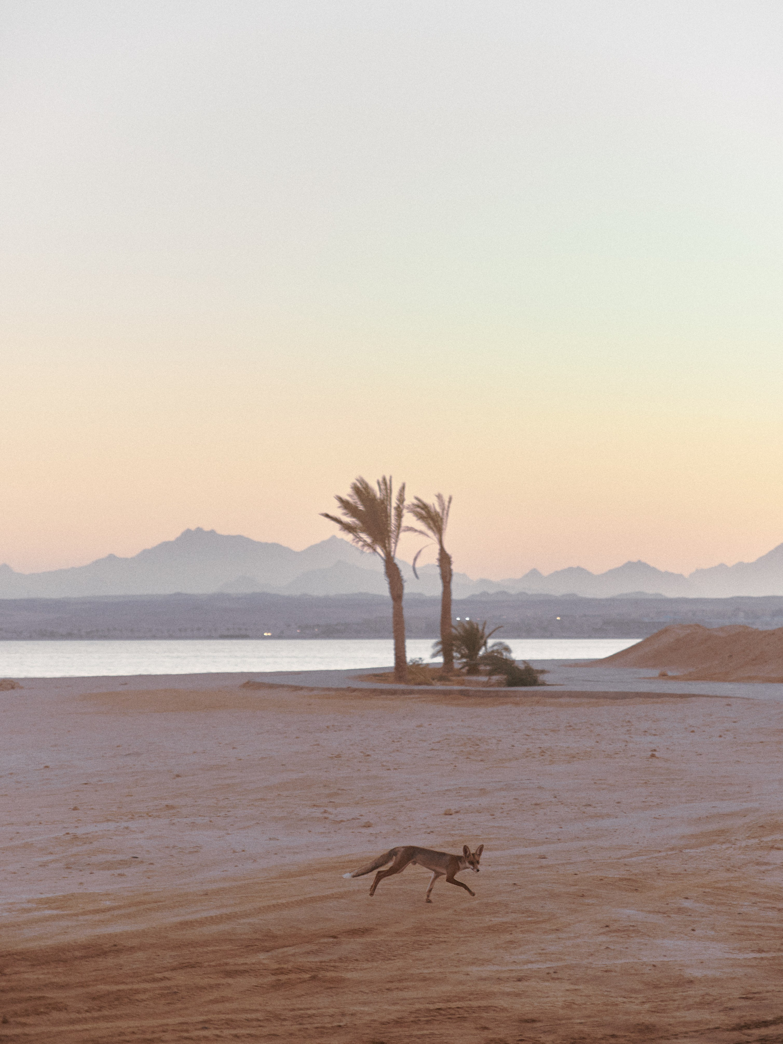 Улицы. Jorgis Talè — photographer, kind person, teacher of arts and other mag