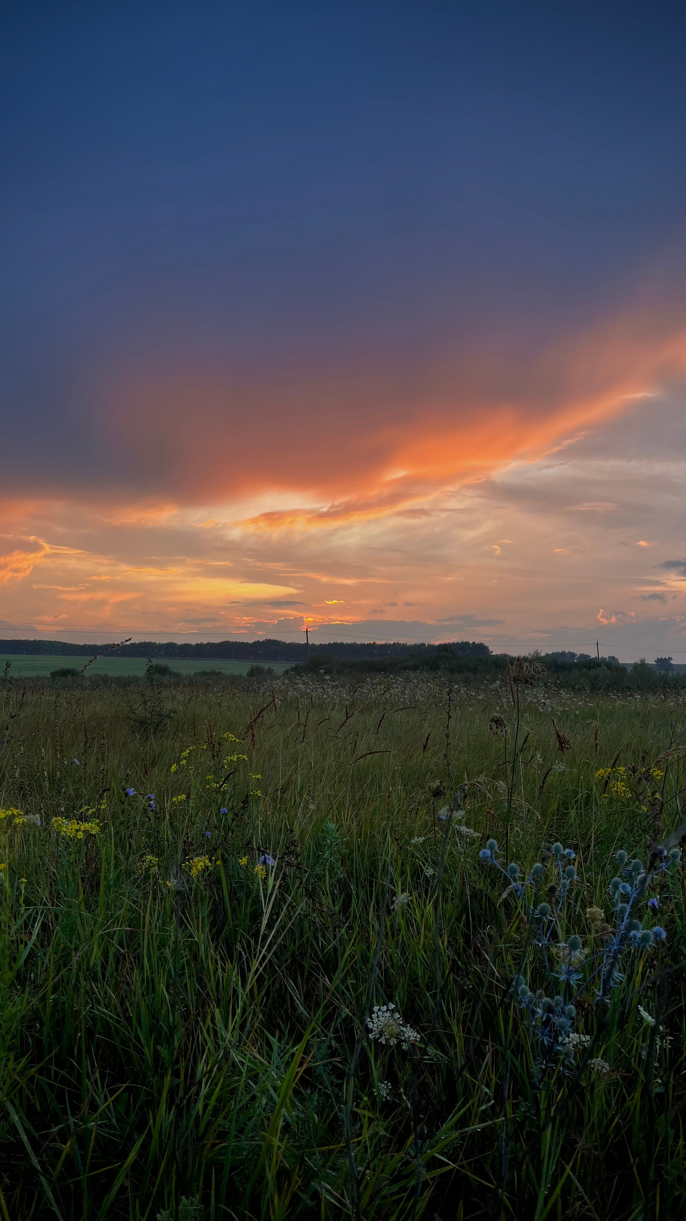 Закат природы. Фотограф природных объектов