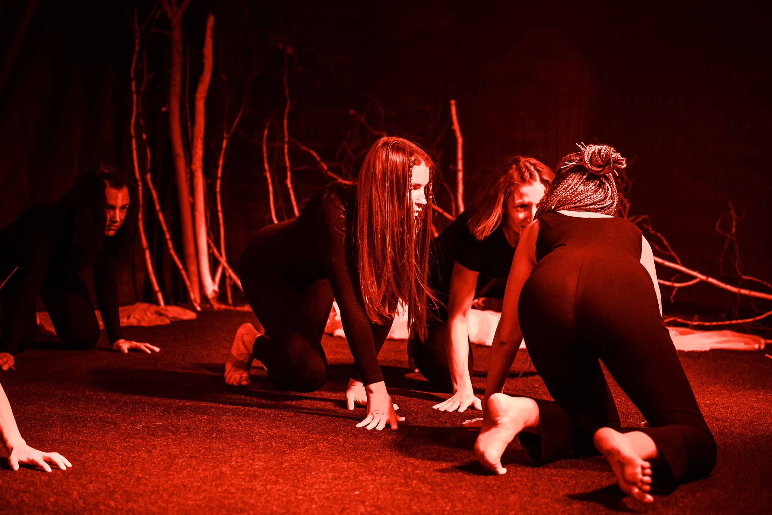 Пластический спектакль La Loba в Челябинском историческом музее. Свадебный и просто хороший фотограф в Челябинске