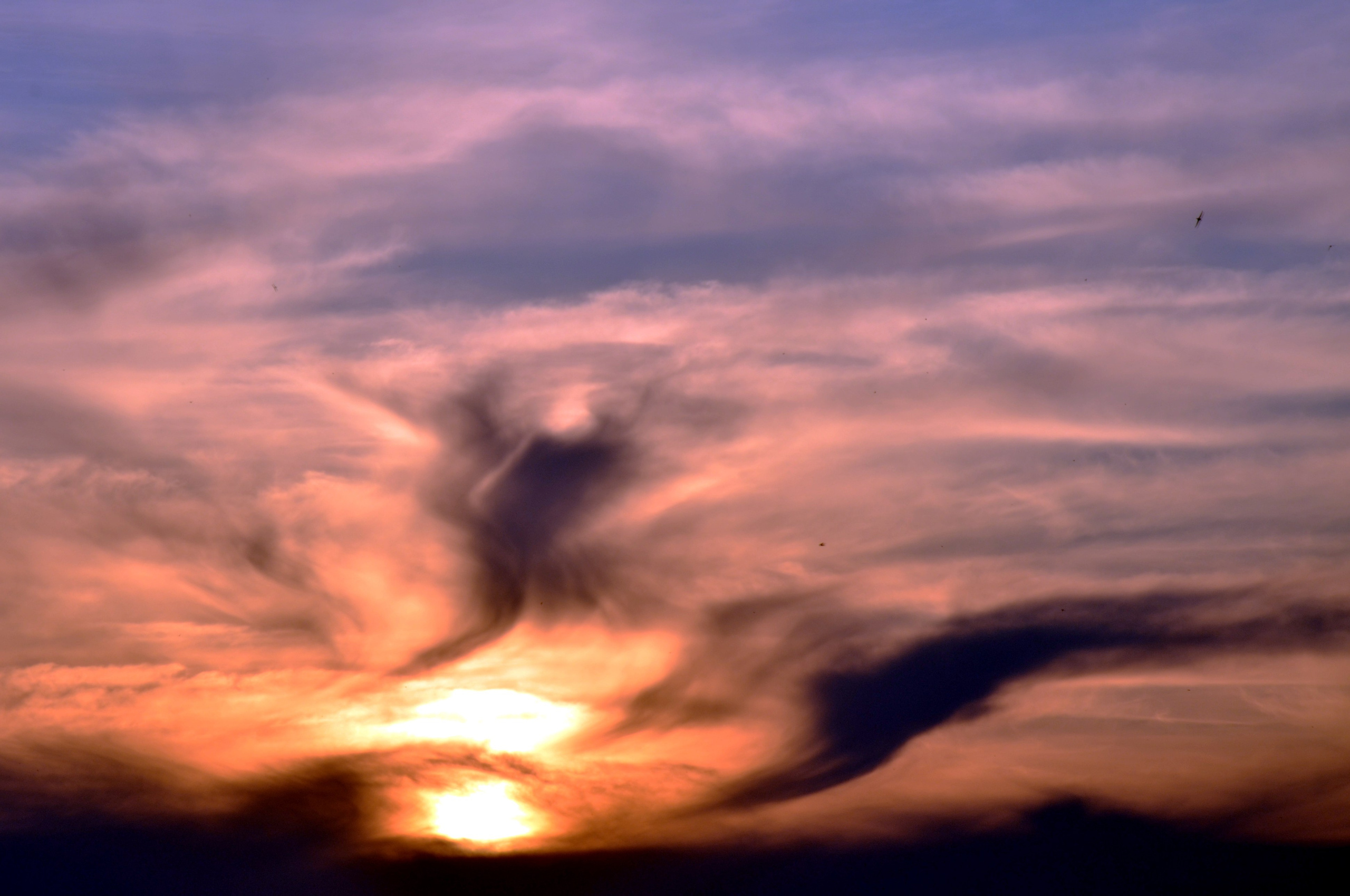 Дары природы. Фотограф viktor viktor