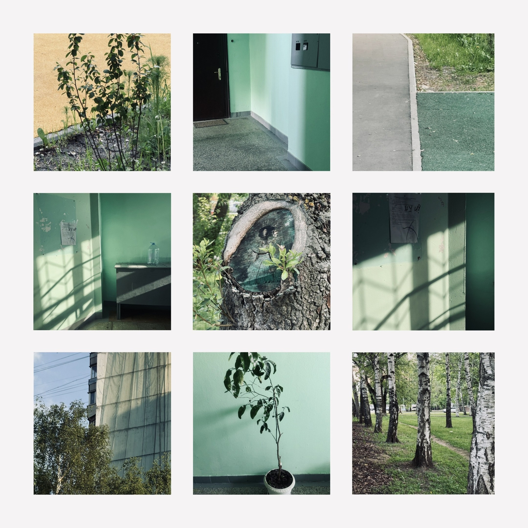 Коллажи. Свадебный фотограф в Москве Сафонова Анна