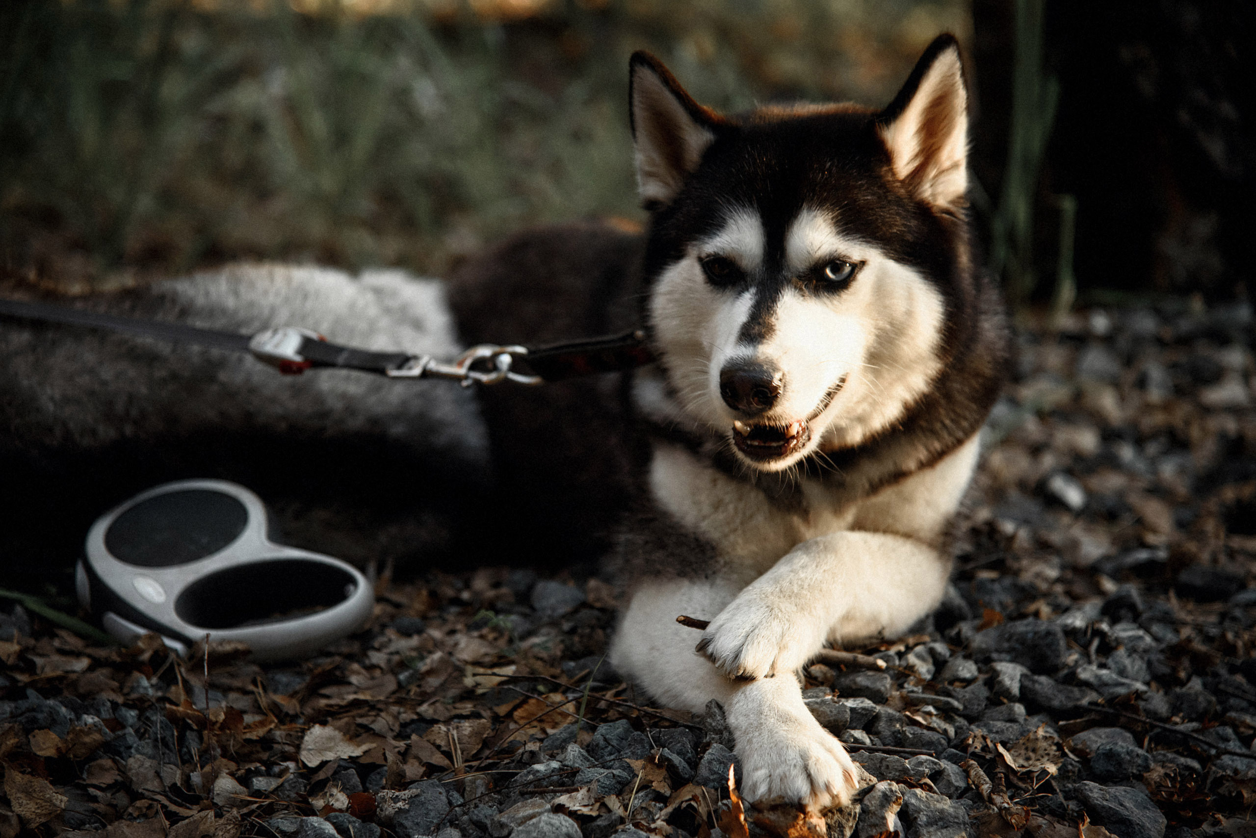 Виктория и Роман. Фотограф Ксения Санатина