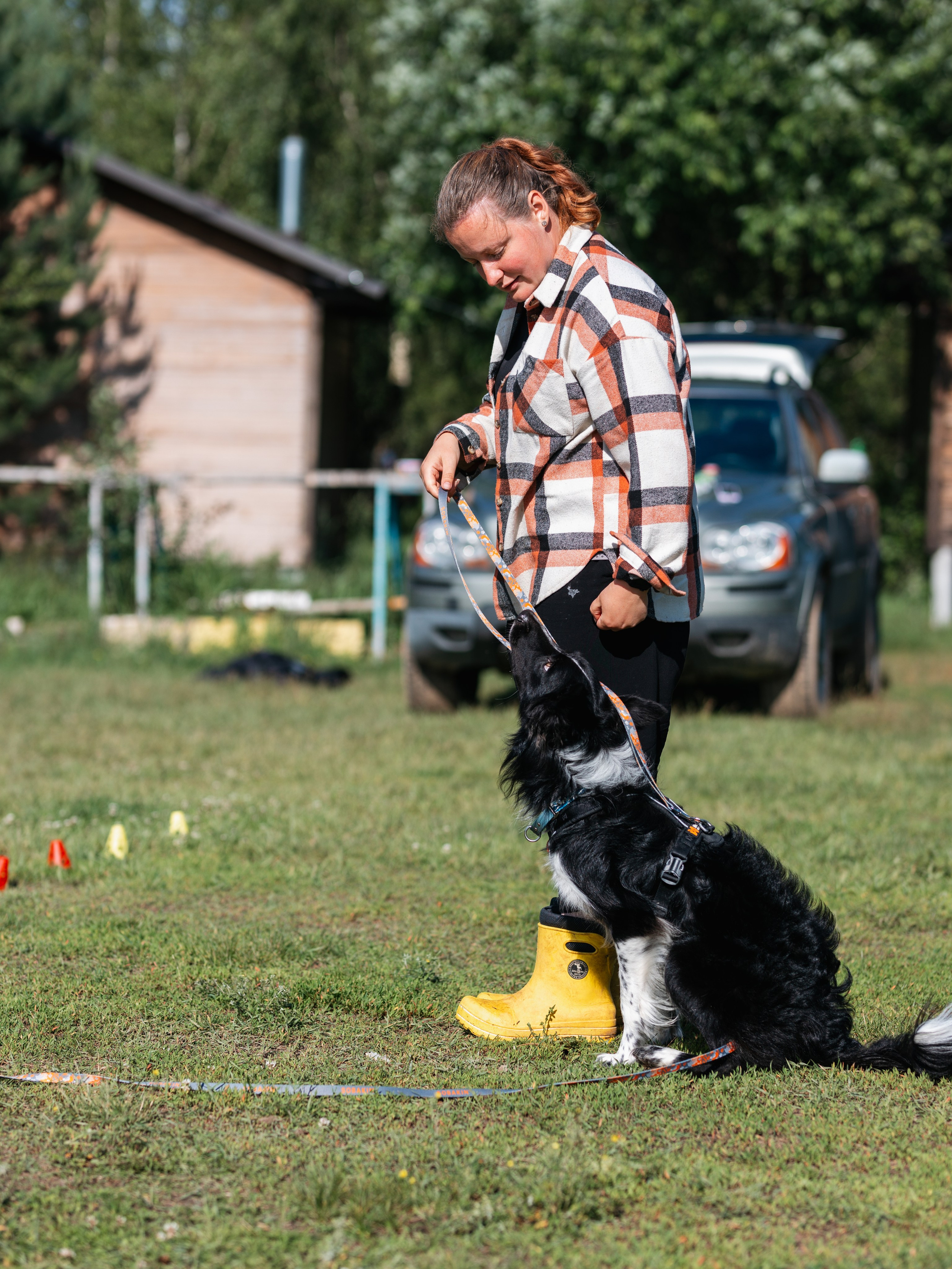 Лагерь ноузворк. Фотограф-анималист в Москве Кириллова Татьяна