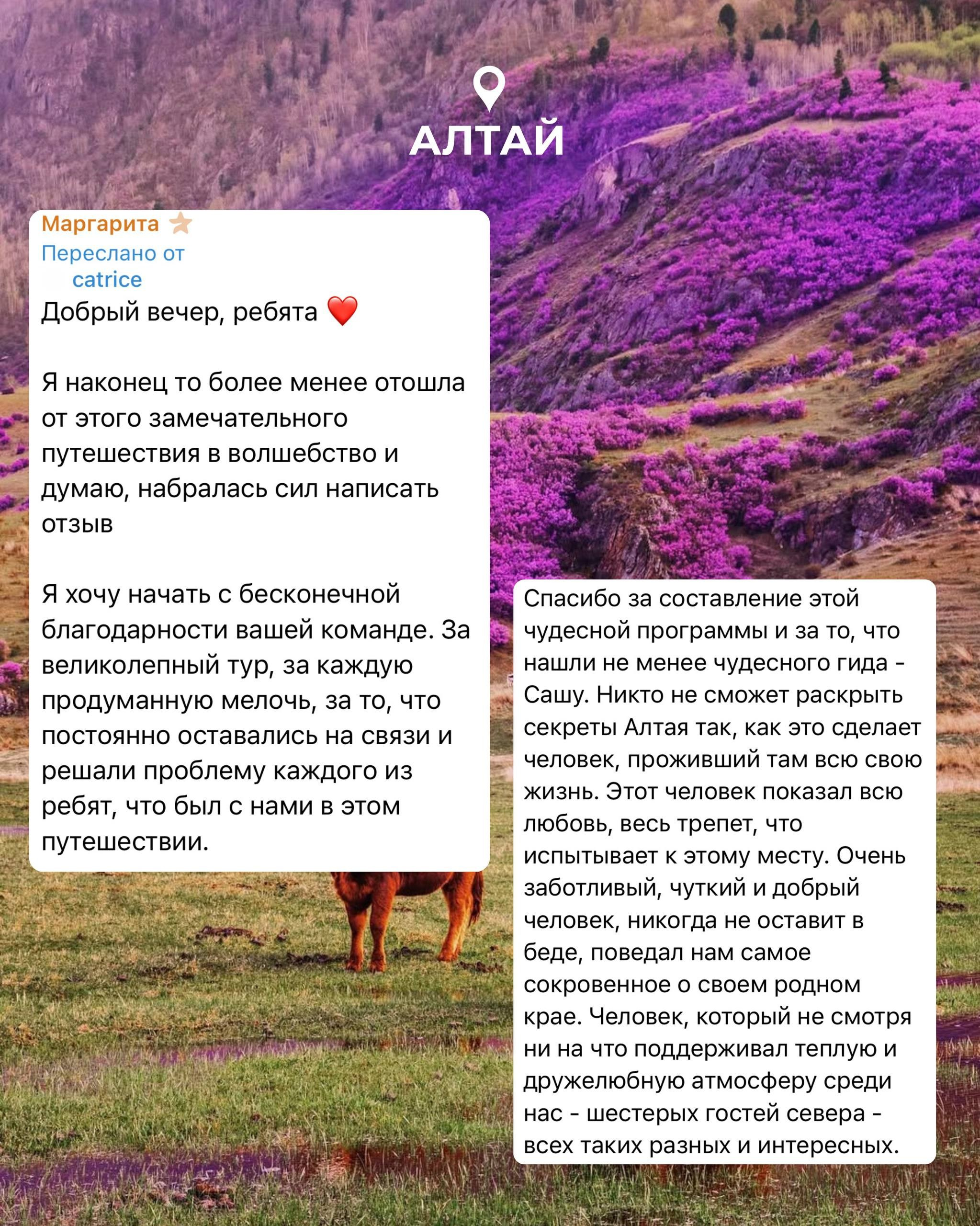 Тур на Алтай —  с комфортом летом