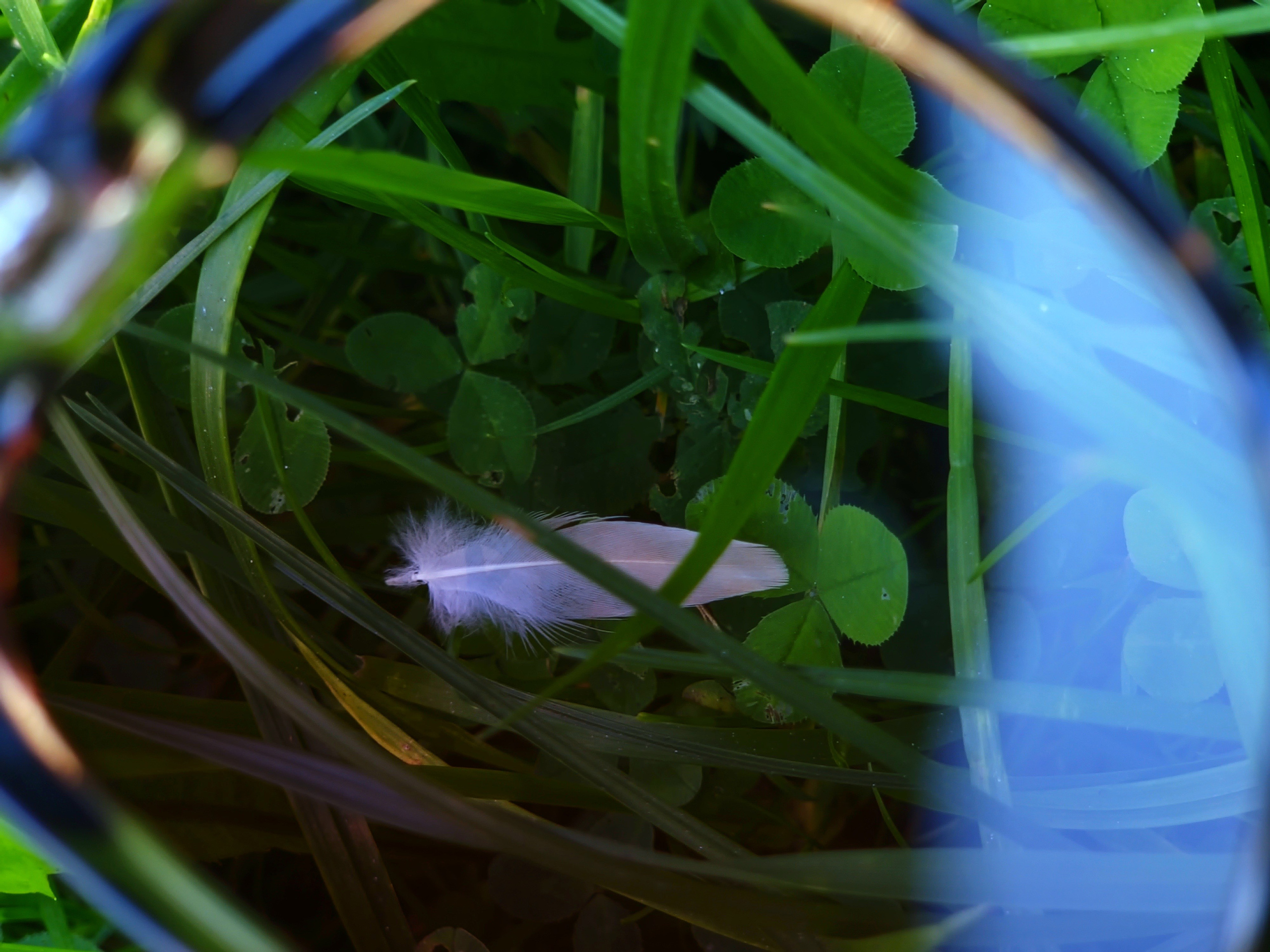 Август 2025. Den Mirov — Фотограф, Музыкант