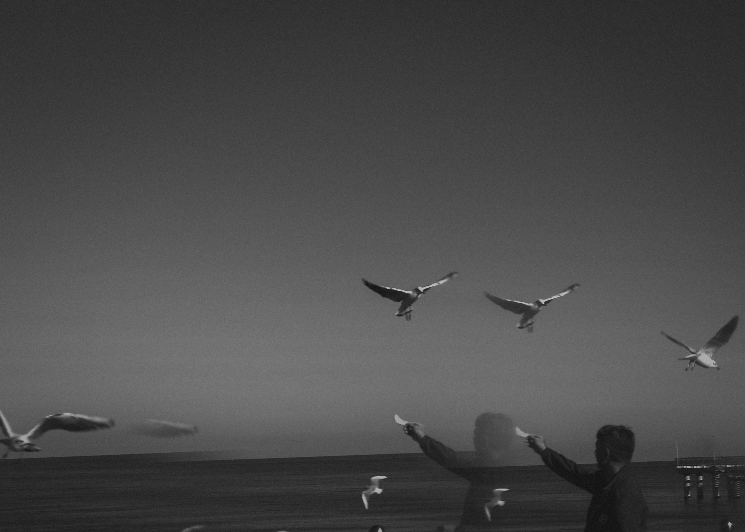 Калининград. Портретный фотограф DanilNabody