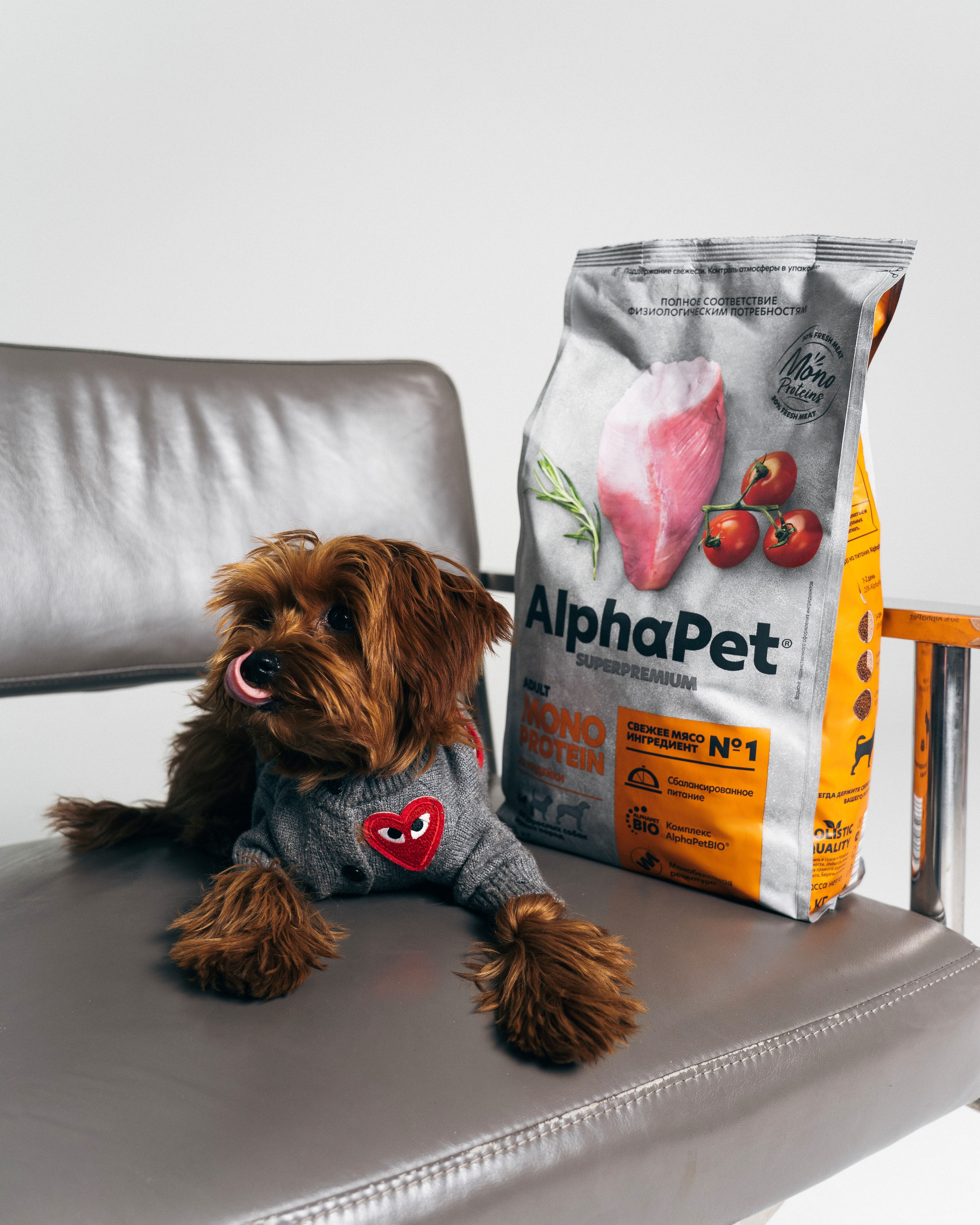 AlphaPet. Фотограф Москва