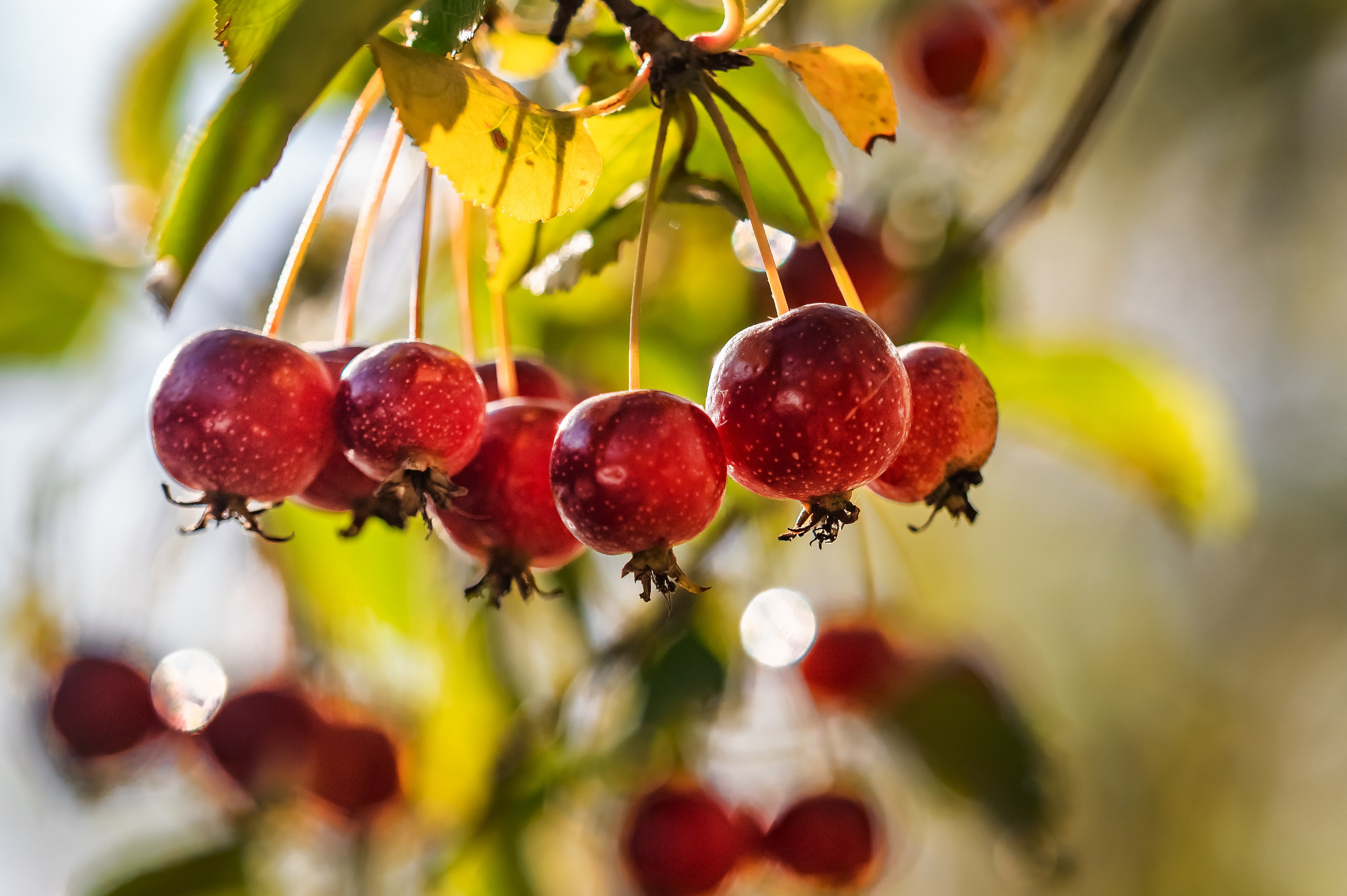 Красота Заречного. Репортажный, семейный и детский фотограф в Пензе и Заречном Арина Ермилова. Картины барельеф на заказ