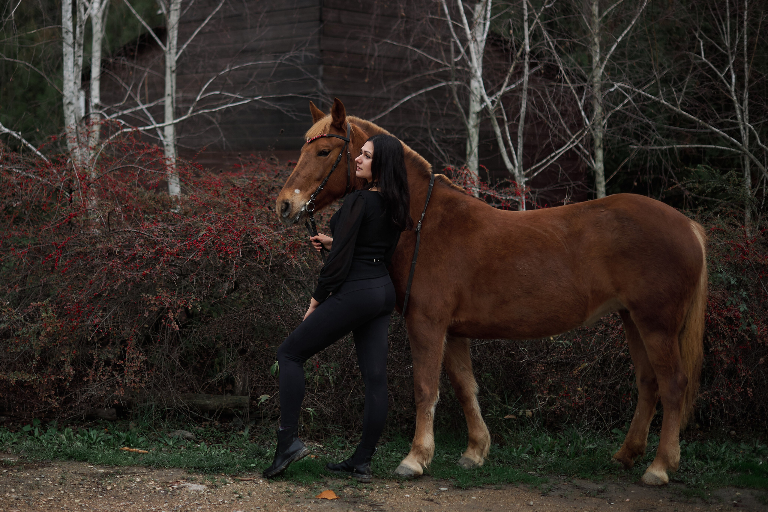 Диана, Гром и Мандаринка. Фотограф в Севастополе