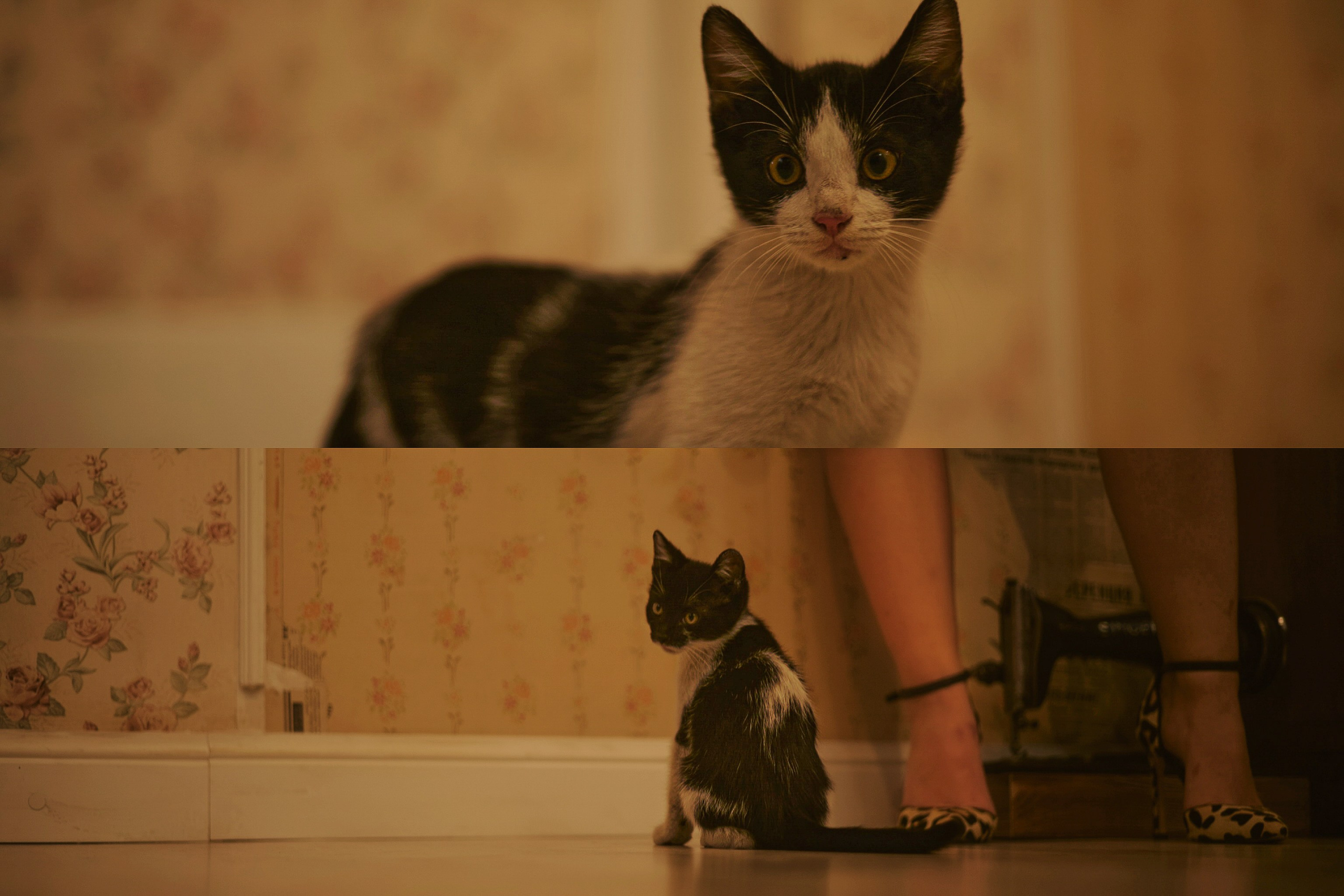 Кинематографичная сцена в советском интерьере