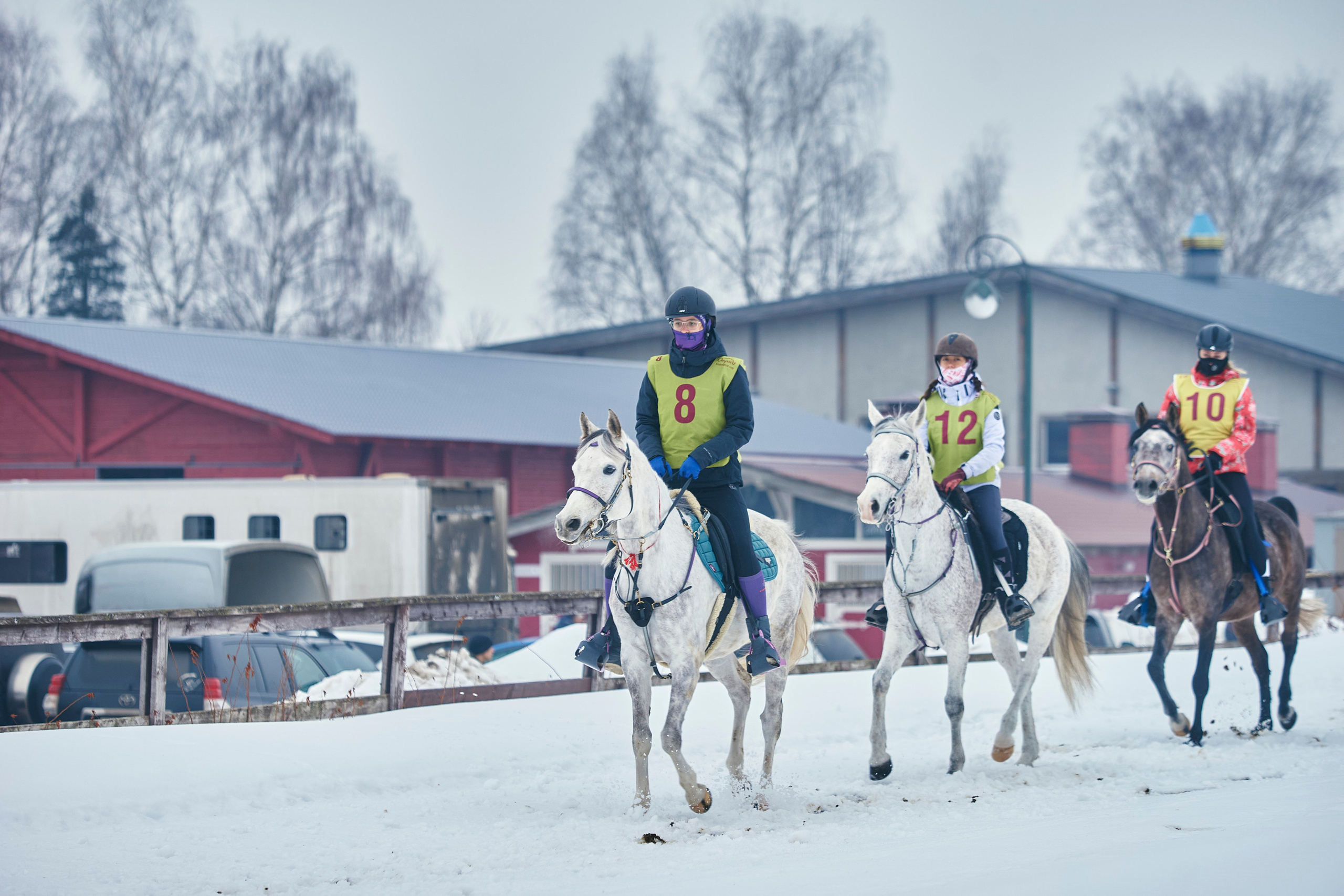HORSE RACING. Фотограф Наталья Леонова