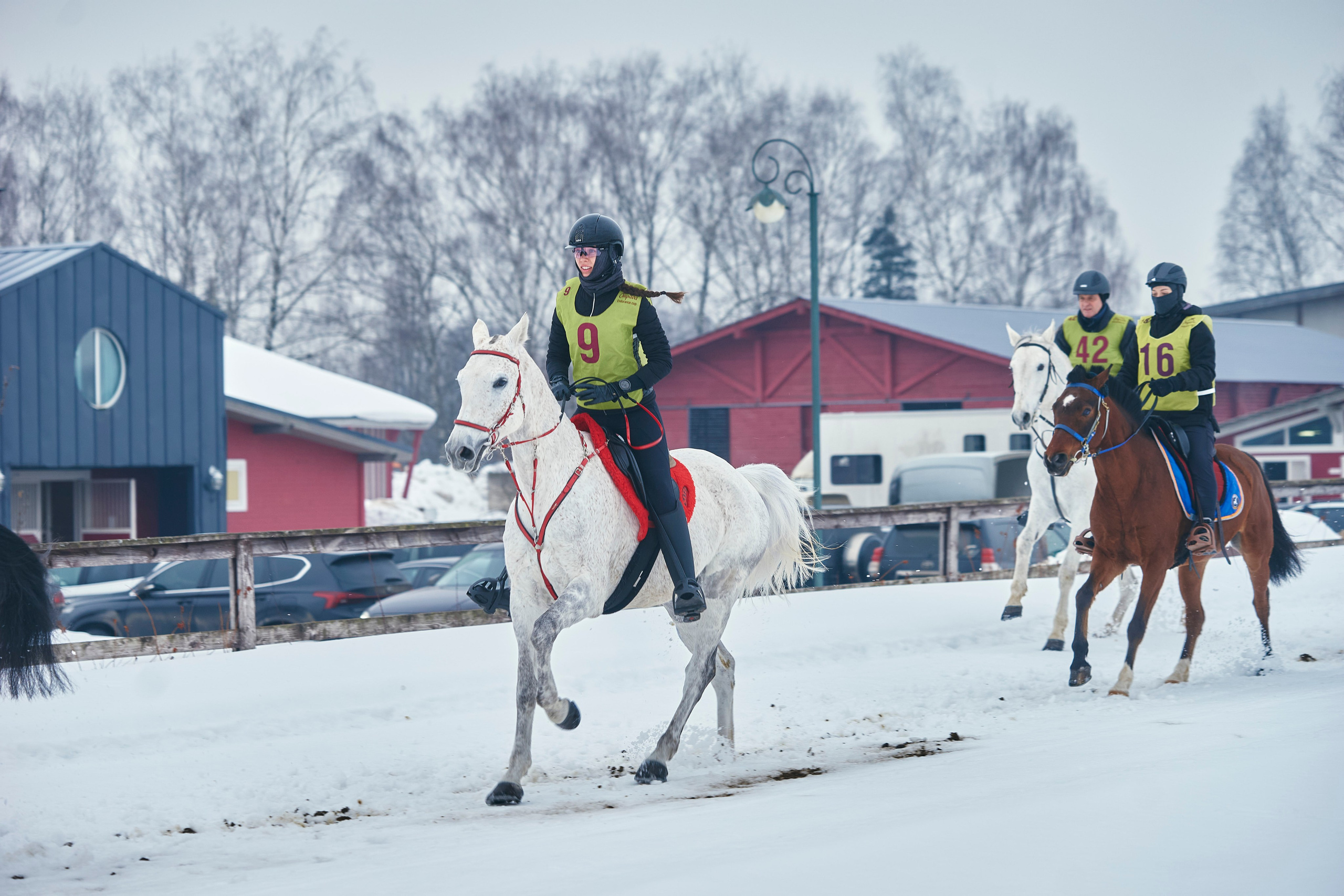 HORSE RACING. Фотограф Наталья Леонова