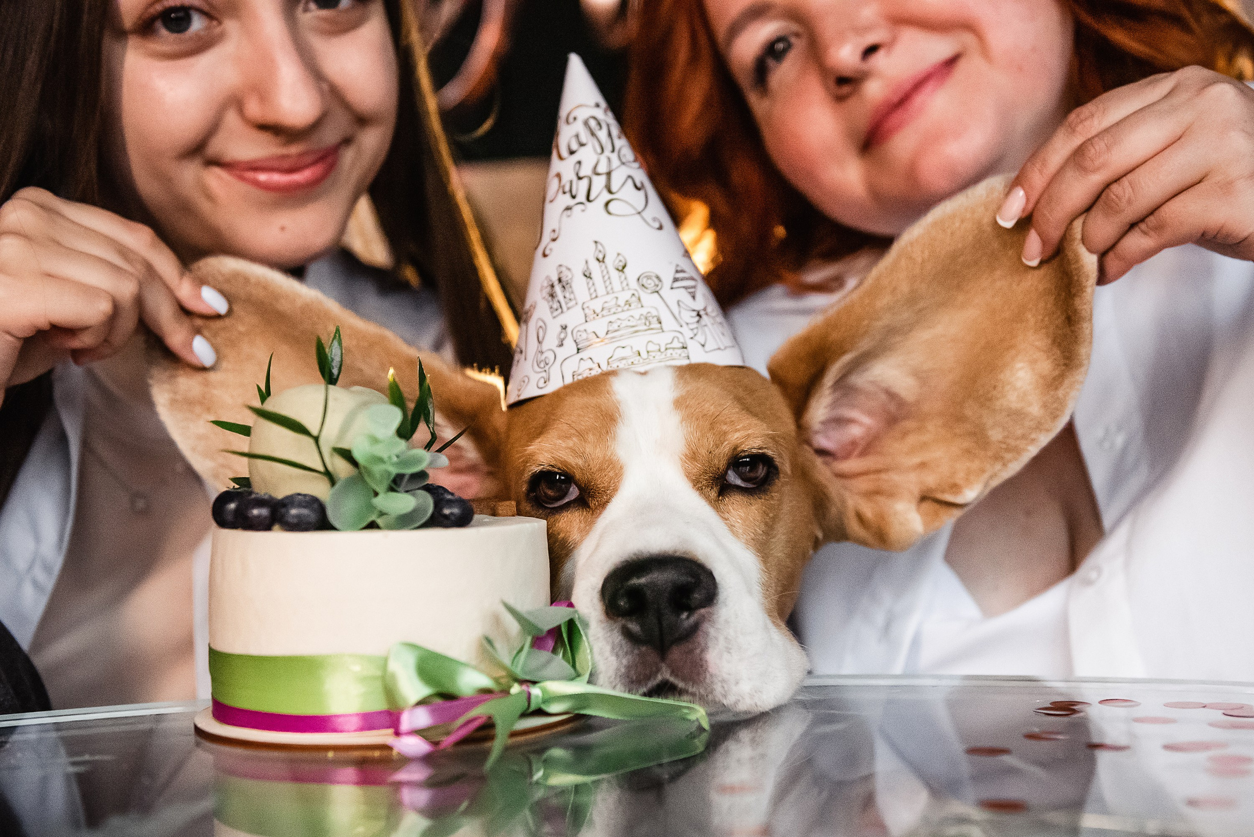 День рождение Дарси. Семейный Фотограф в Москве Ирина Хохлова