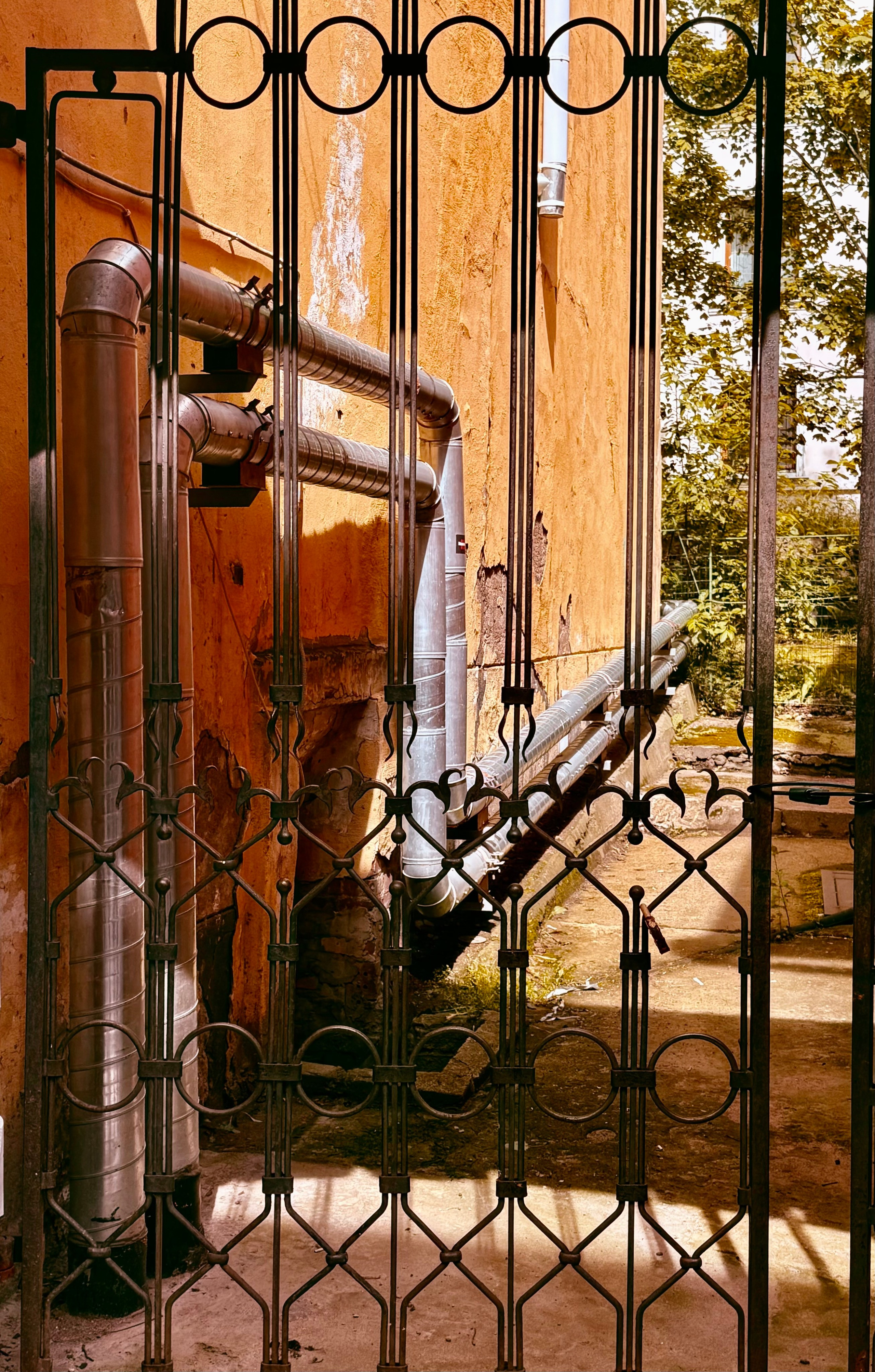 Уличный. Фотограф Арсений Королев