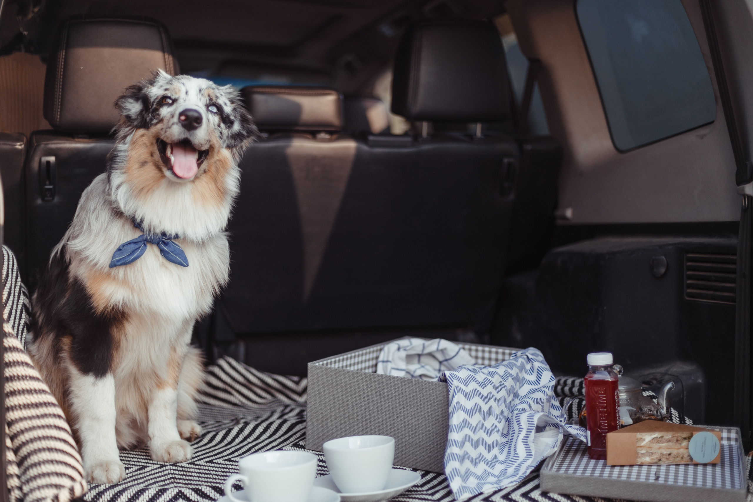 Mike. PHOTOGRAPHER romanoff-egor