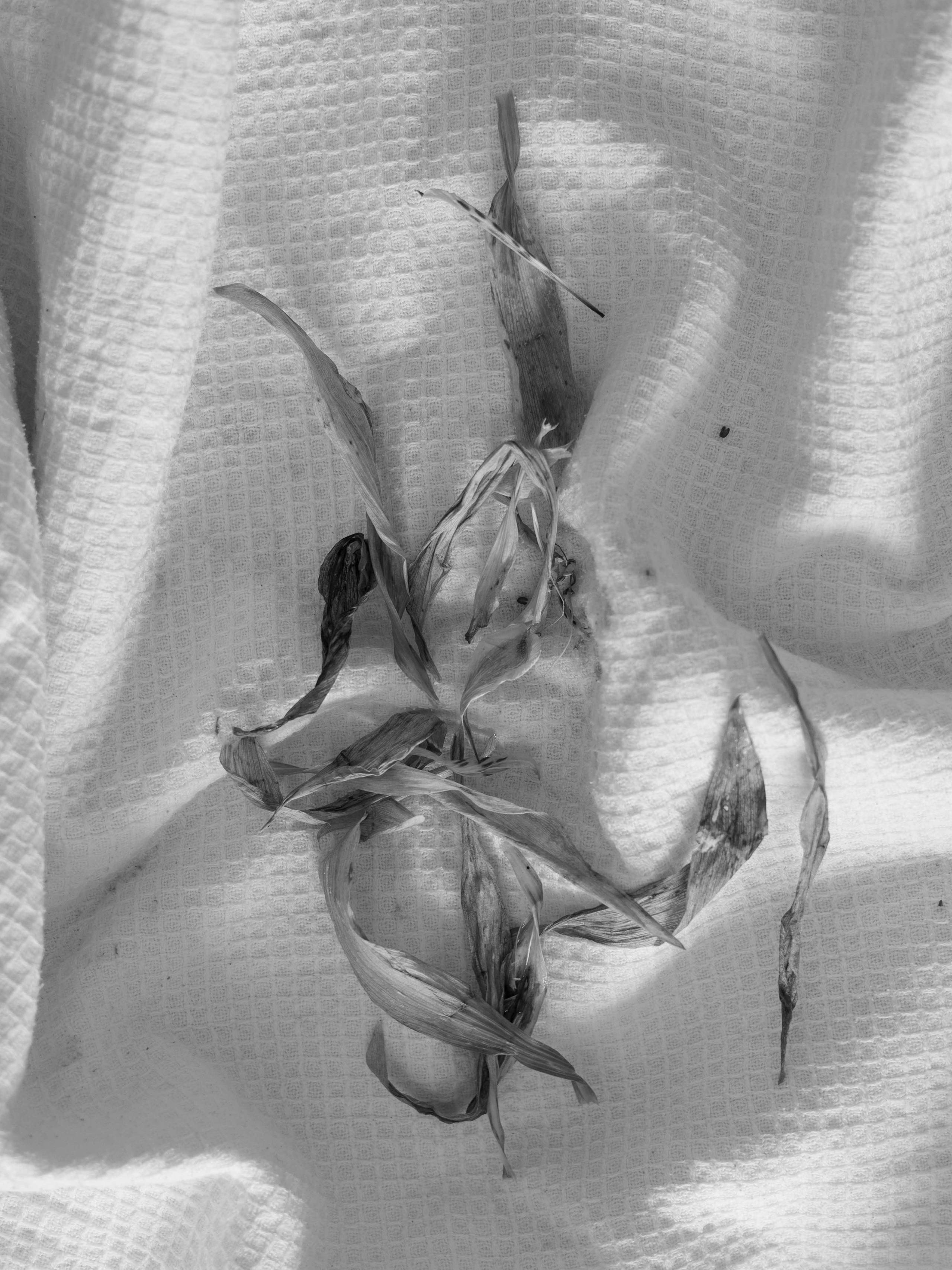 Project. Ula Aldokhina