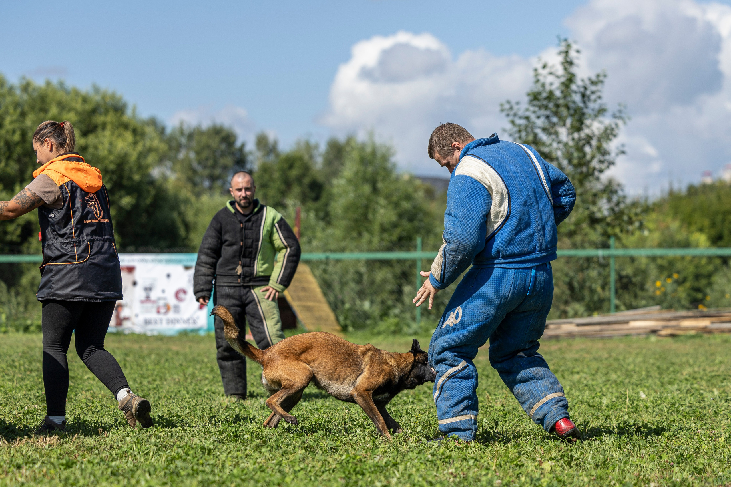 Соревнования по Мондьорингу г. Вологда 10-11.08.2024. Фотограф-анималист Анна Маринич
