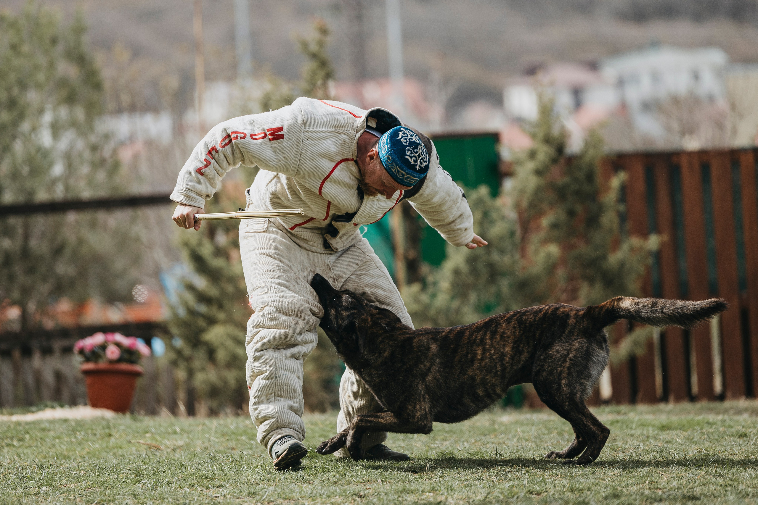 Геленджик Мондьоринг. Фотограф-анималист Анна Маринич