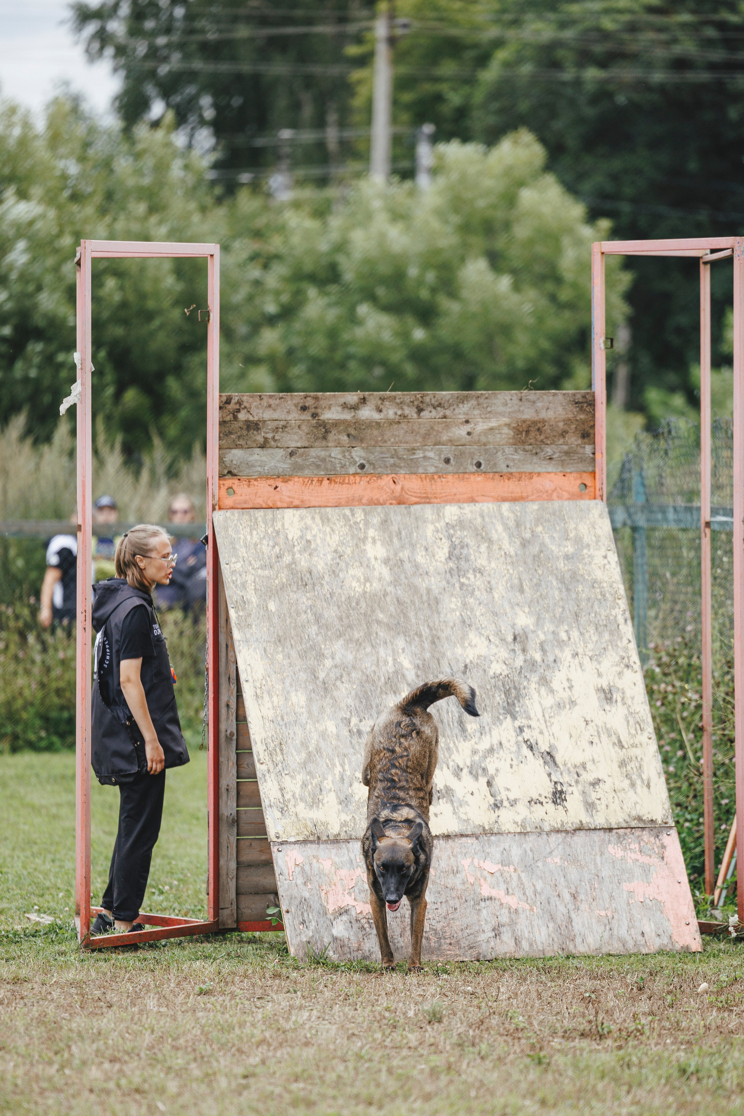 08.08.25-10.08.25 ЧР по мондьорингу г. Вологда. Фотограф-анималист Анна Маринич