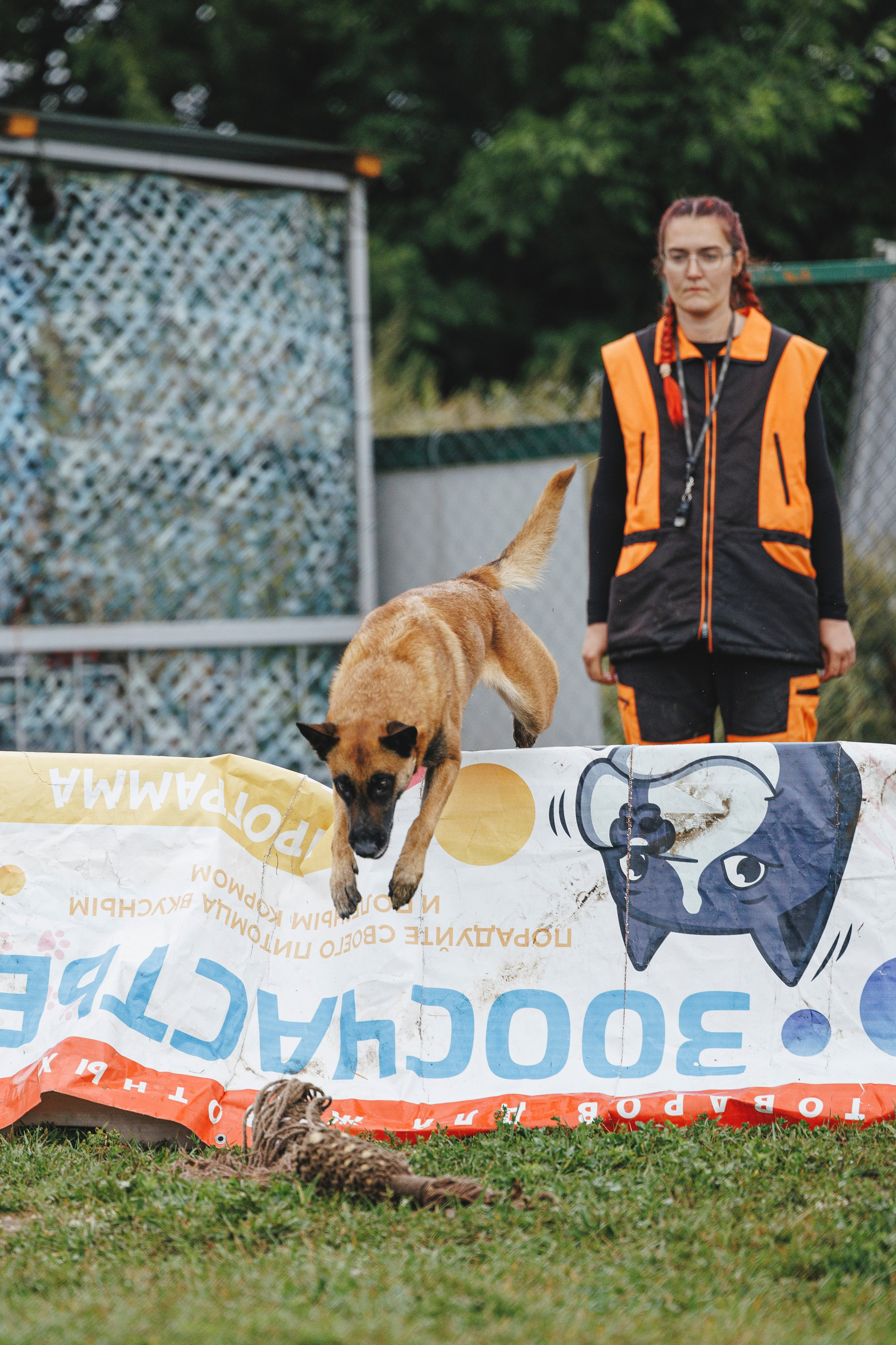 08.08.25-10.08.25 ЧР по мондьорингу г. Вологда. Фотограф-анималист Анна Маринич