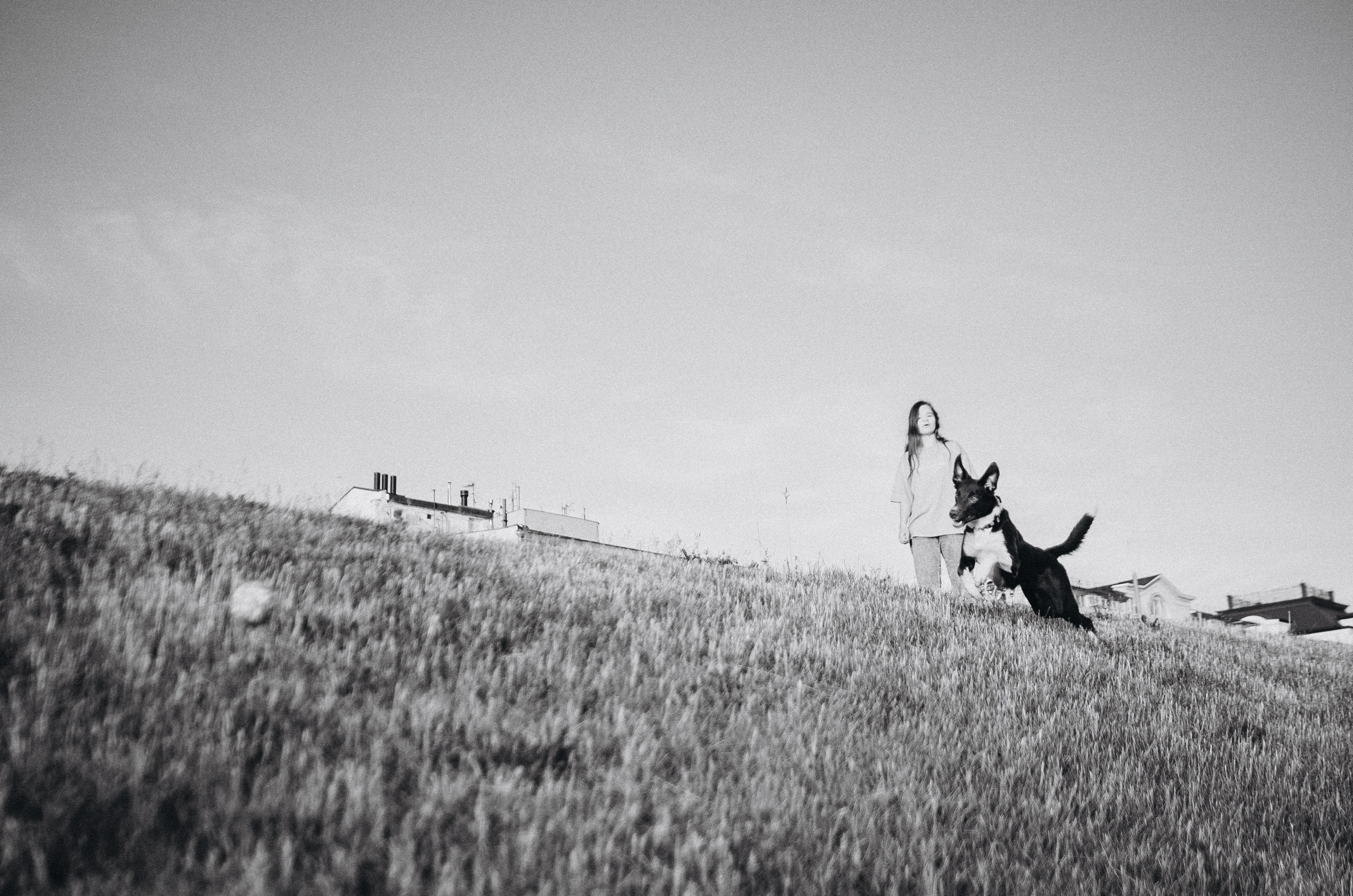 Вика и Эсса. Фотограф-анималист Богданова Полина