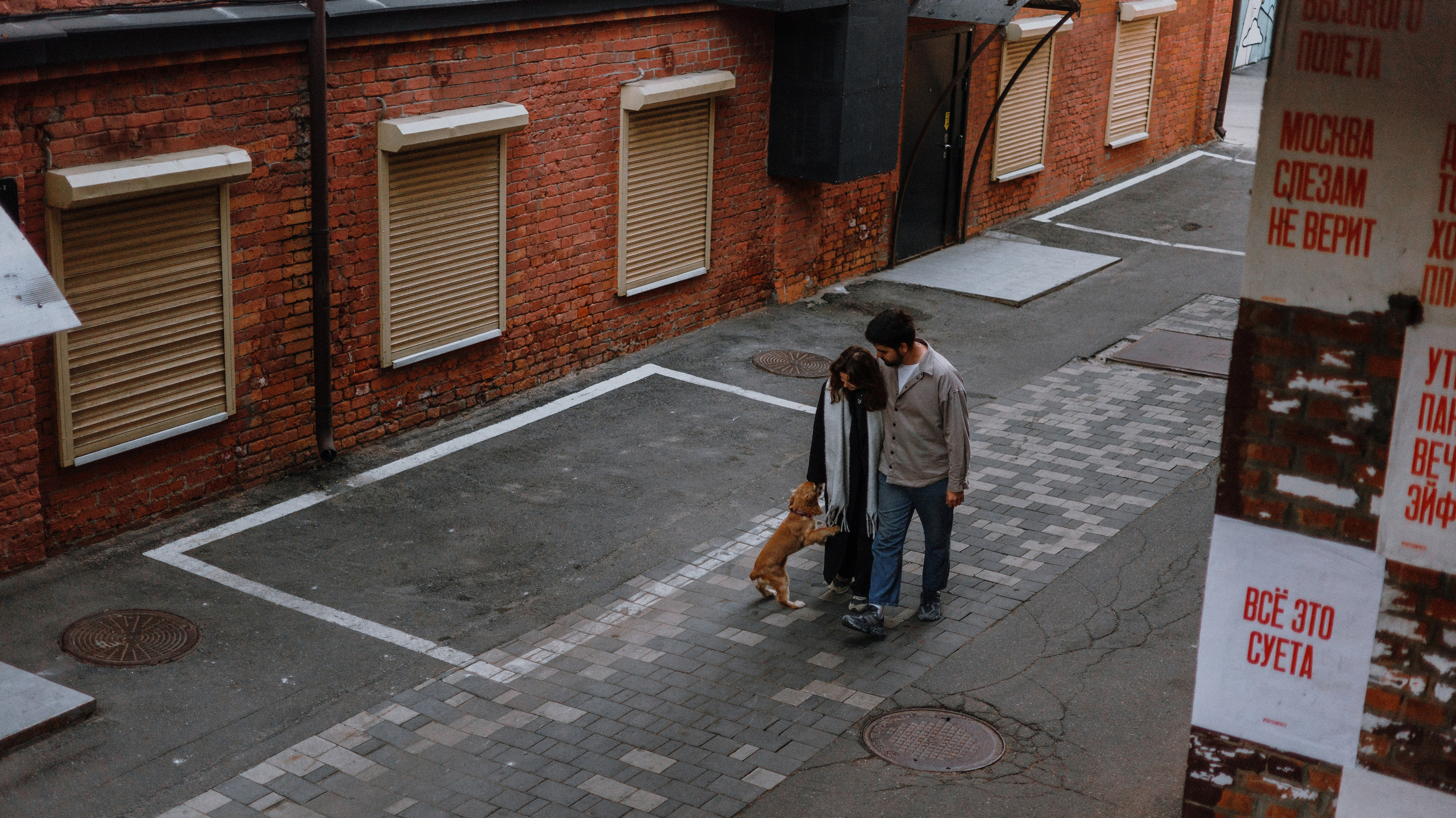 Аня, Андрей и Юта. Фотограф-анималист Богданова Полина