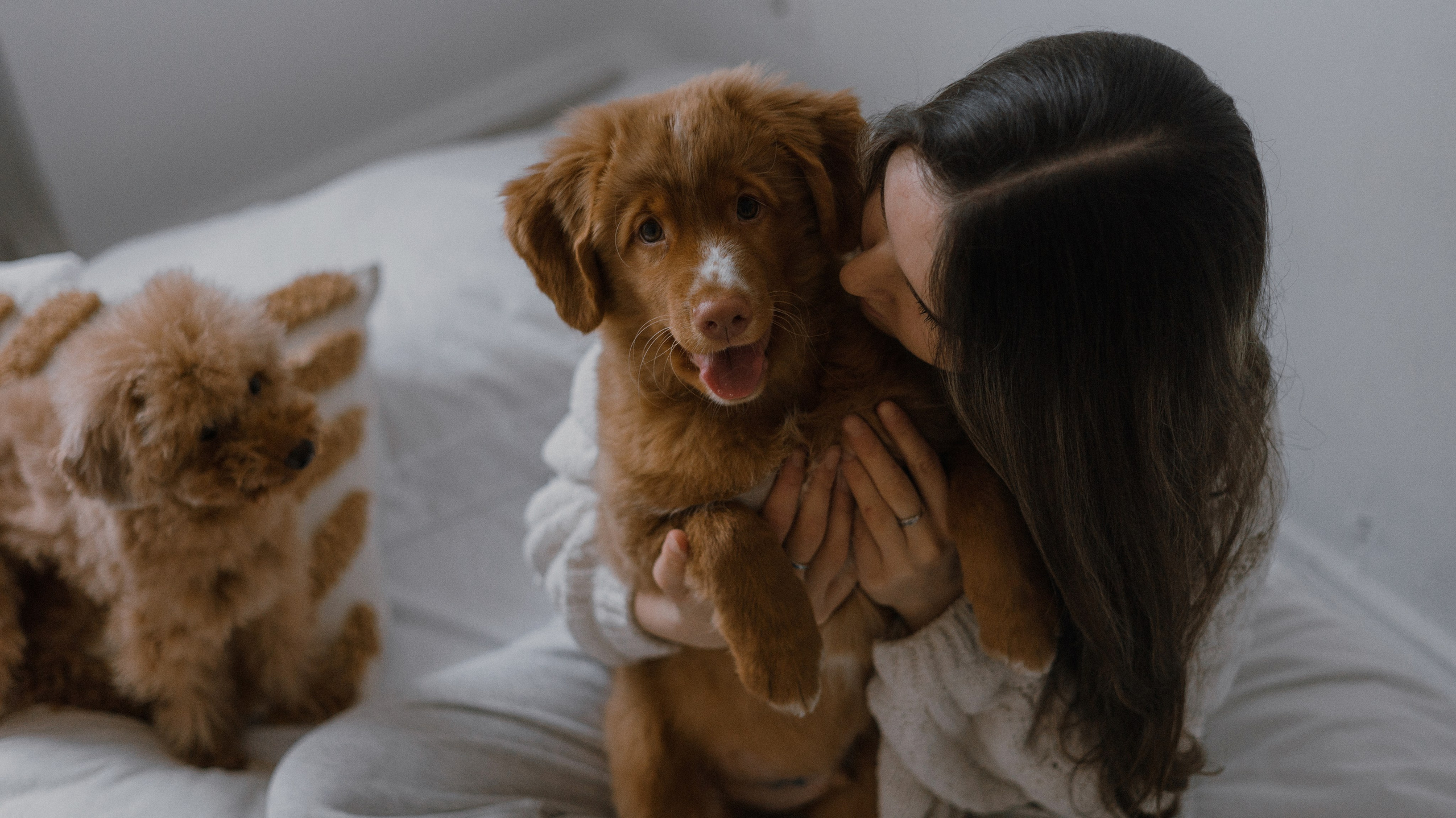 Маша, Одди и Нэвил. Фотограф-анималист Богданова Полина