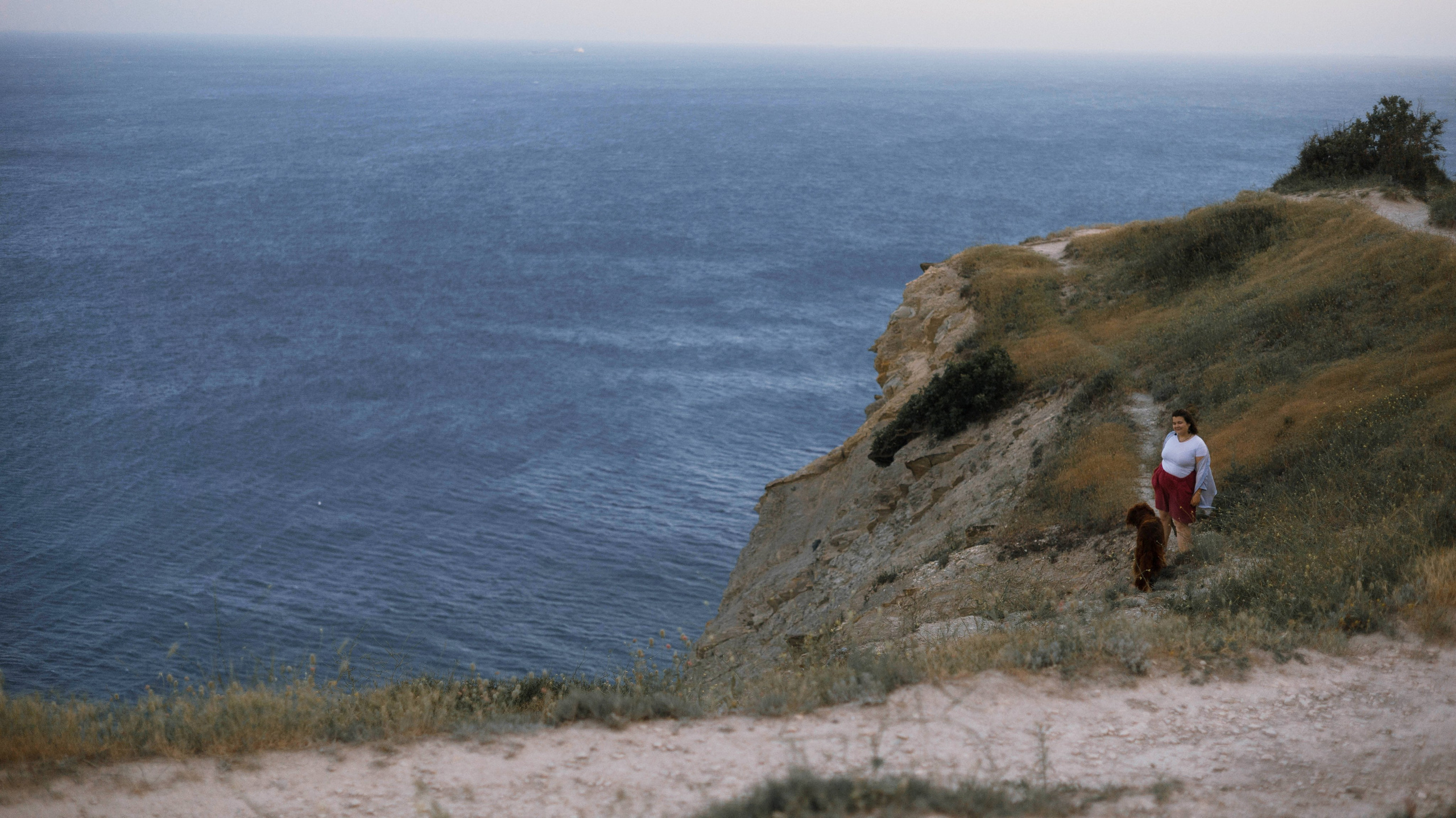 Ольга и Шеймас. Фотограф-анималист Богданова Полина