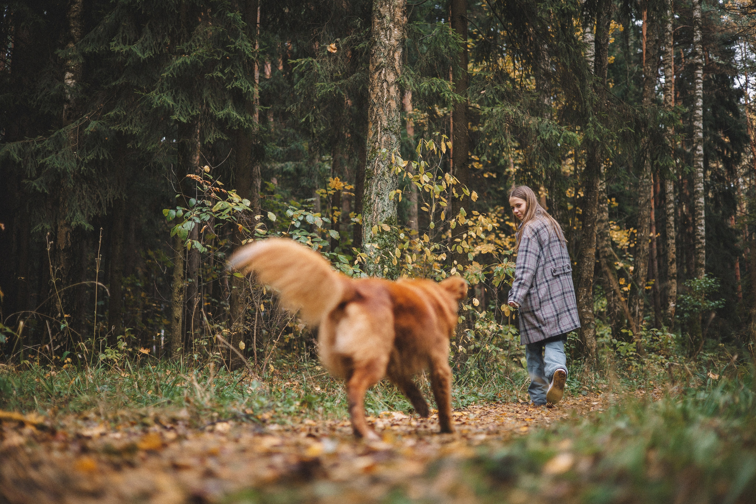 Алина и Бис. Фотограф-анималист Богданова Полина