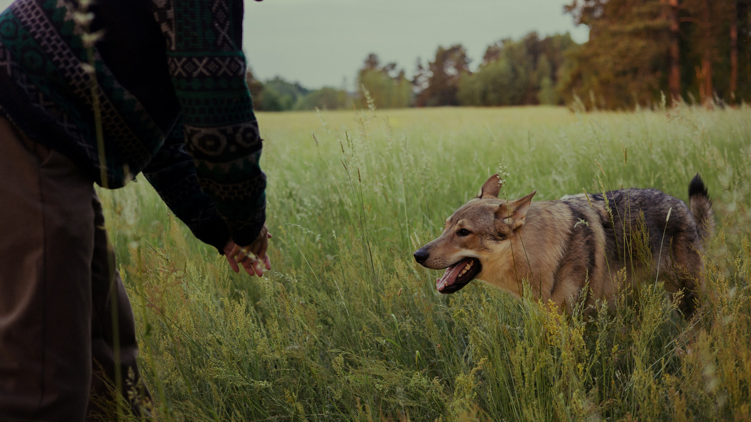 Маша и Дэрил. Фотограф-анималист Богданова Полина
