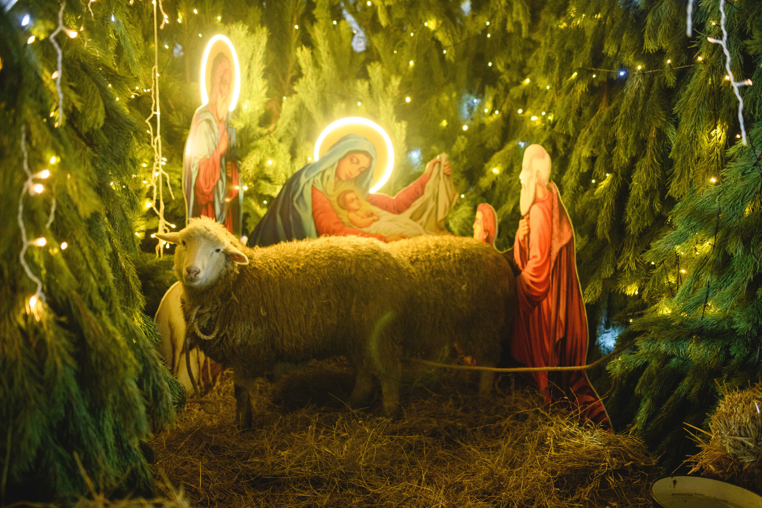 Рождество Христово 7.01.2024. Семейный и свадебный фотограф в Феодосии и Коктебеле