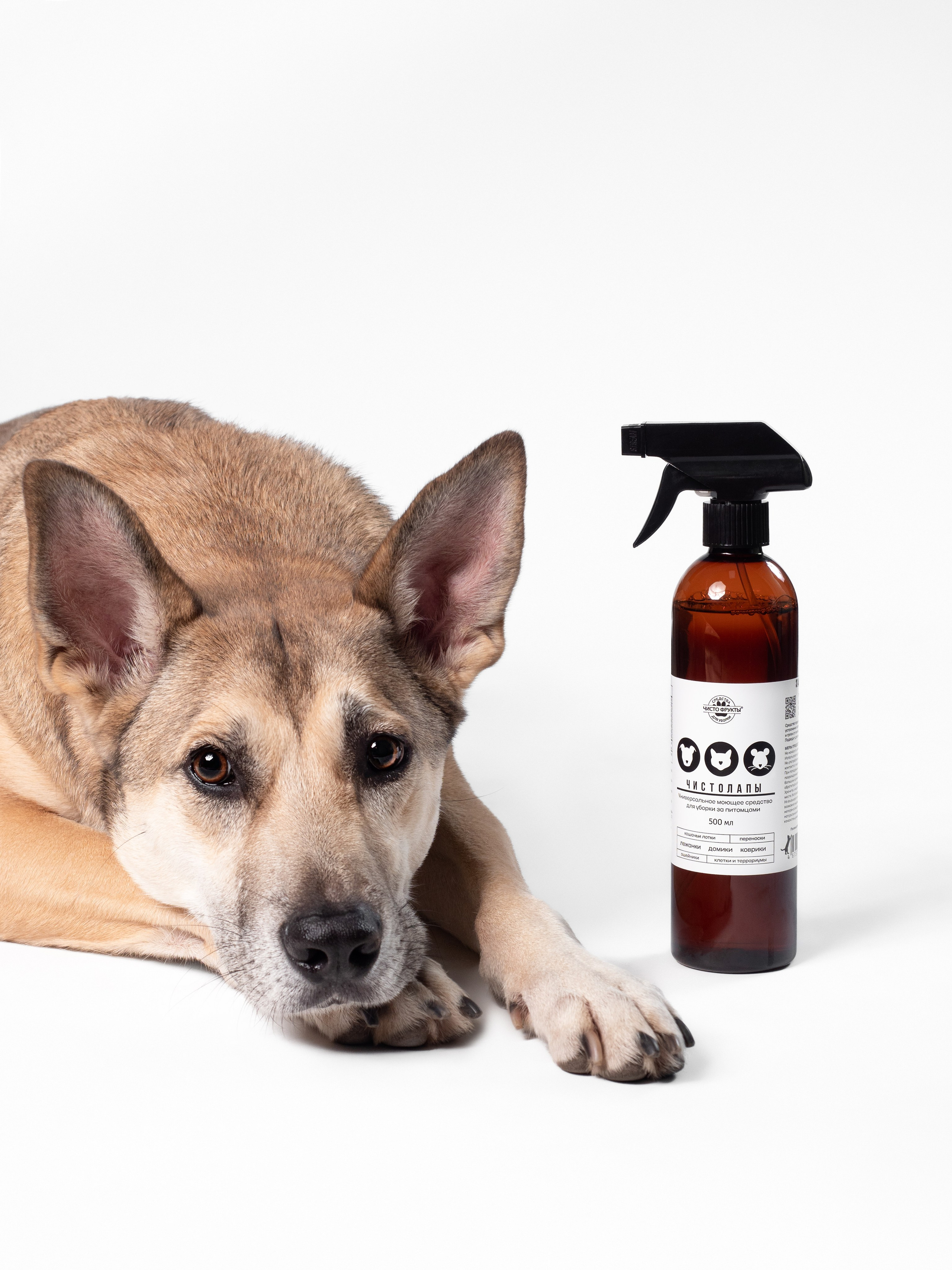 Рекламная съёмка. Фотограф животных и людей в Санкт-Петербурге Дарья Быстрицкая