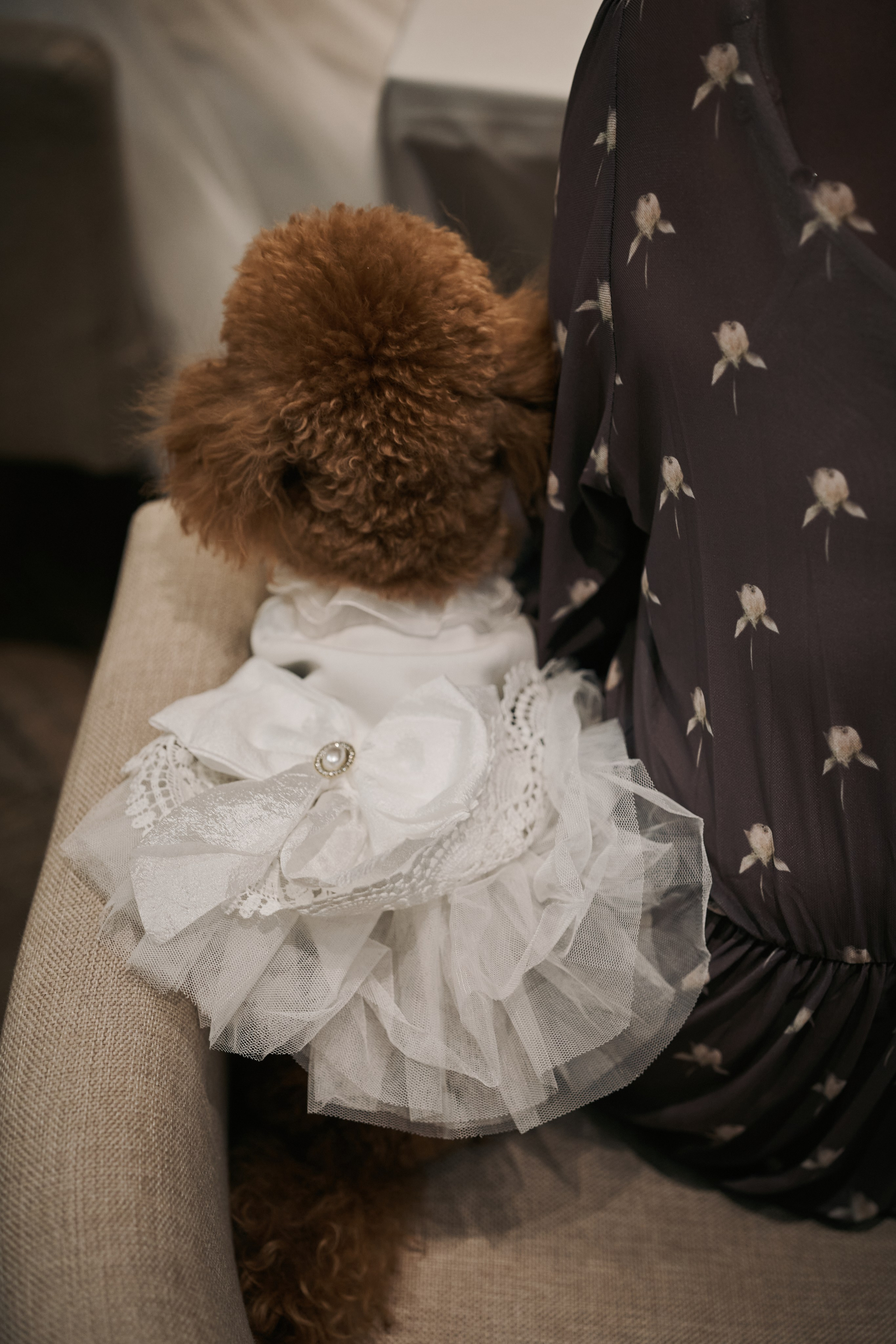 Аня и Дима. Фотограф в Санкт-Петербурге | Аня Маленчук