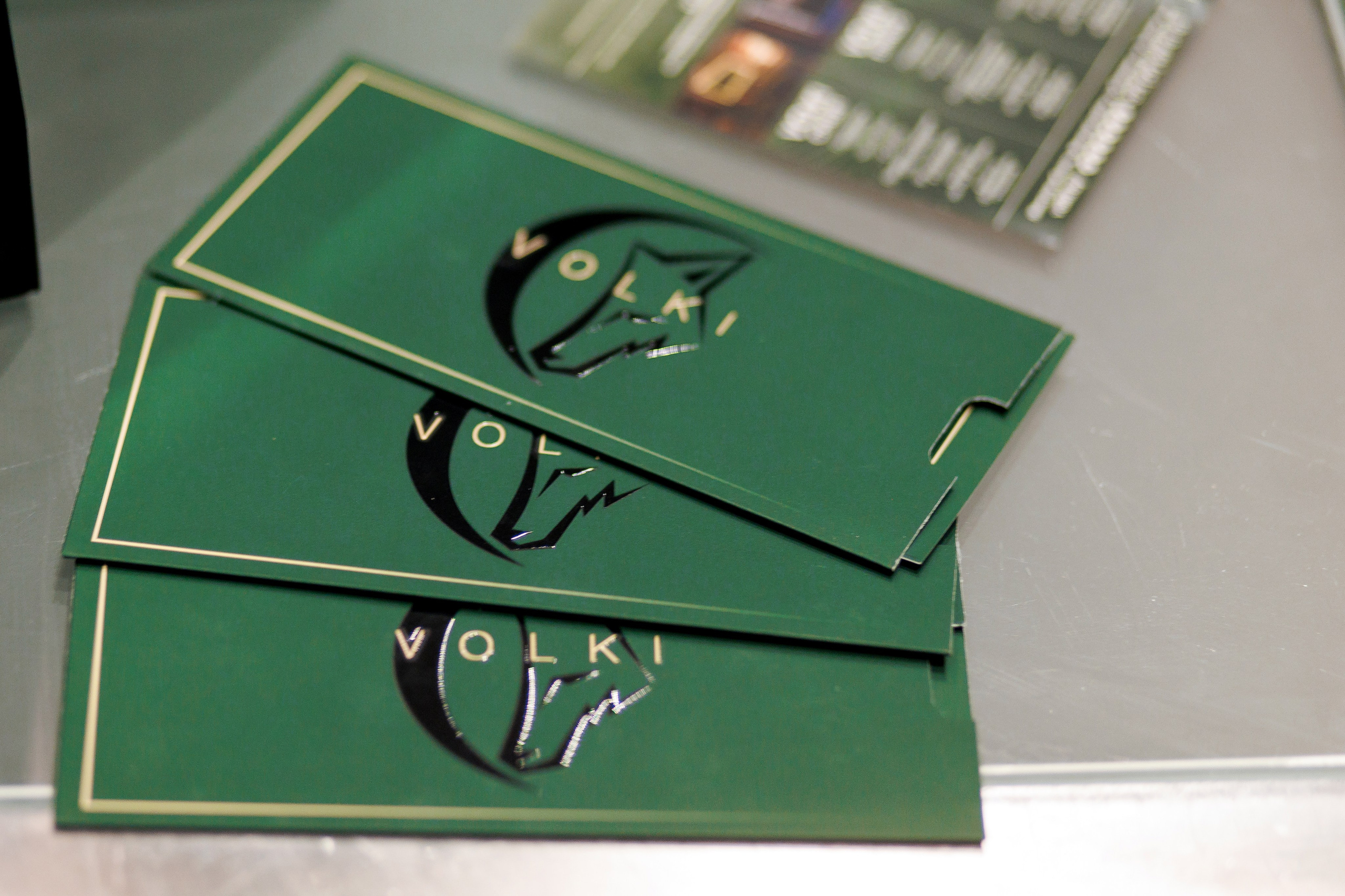 Lions DAY. Свадебный фотограф Каледич Тимофей