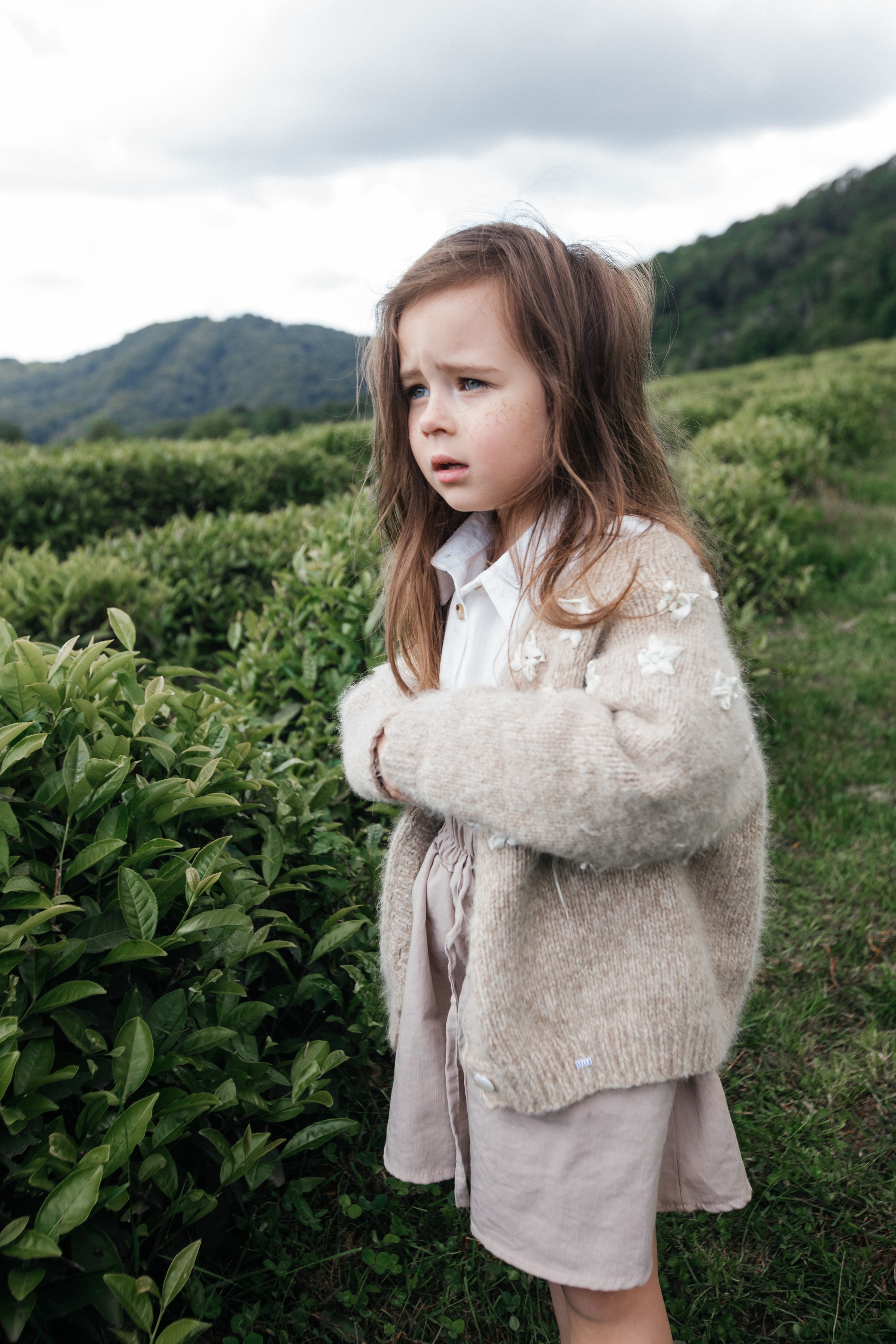 Tea plantation. Efimova Model Agency