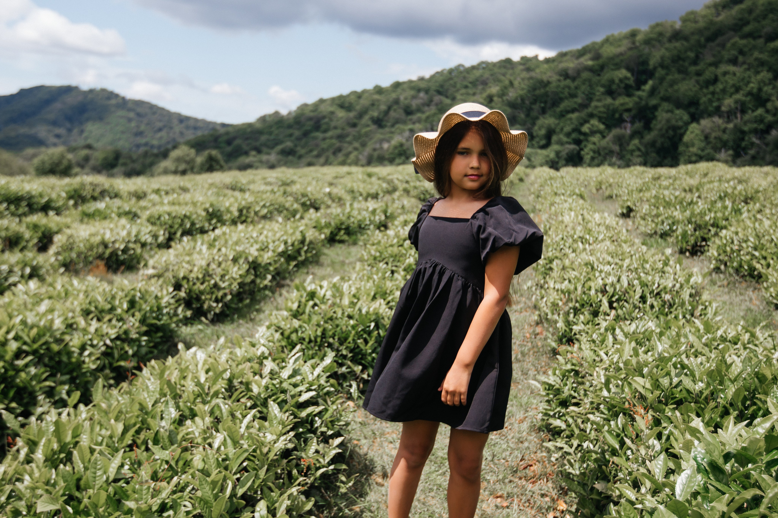 Tea plantation. Efimova Model Agency