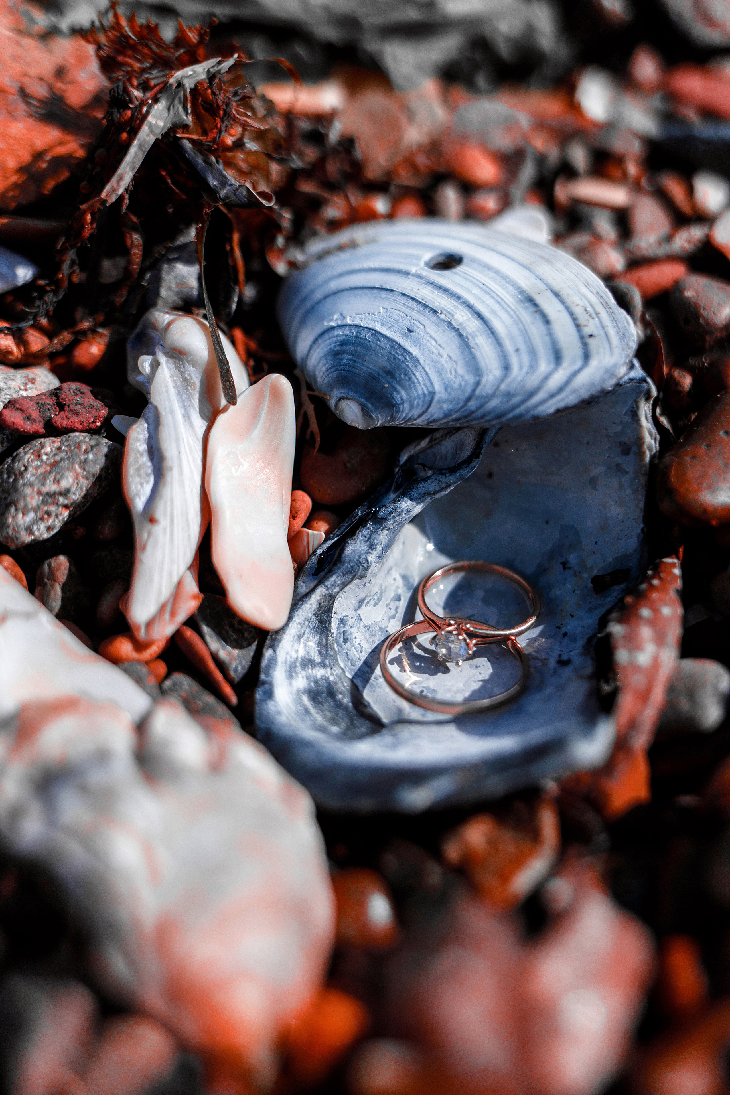 Свадьбы и Love Story. Фотограф Владивосток