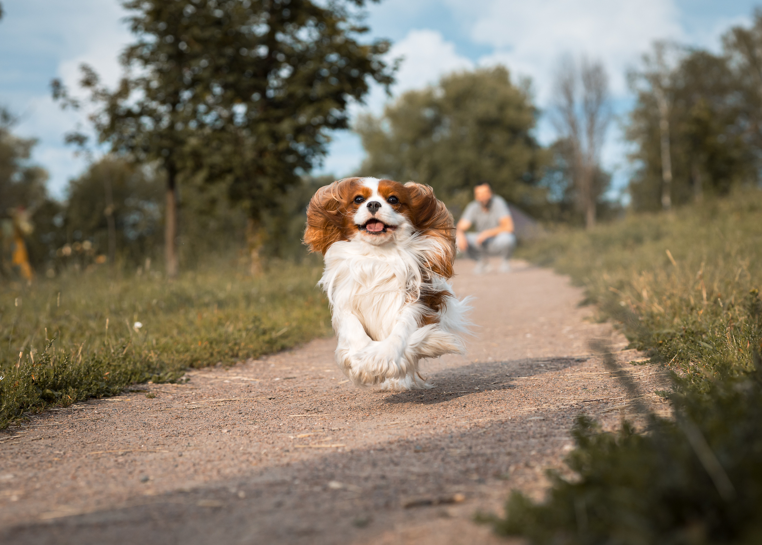 Семейные фотосессии. Портретный фотограф в Долгопрудном и Москве Иван Кабалин