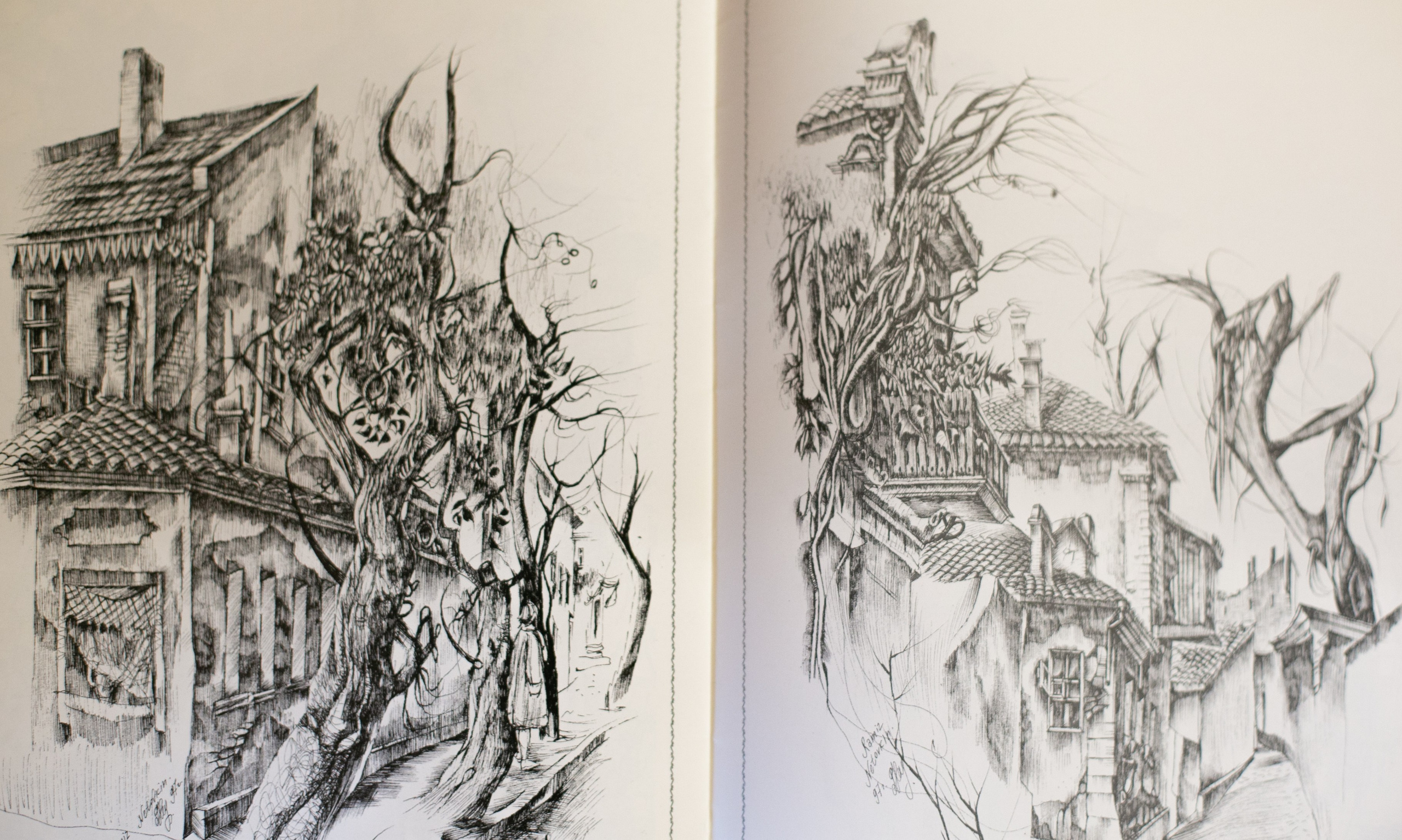 Ramiz Netovkin. Beye Shevkiyeva Photography