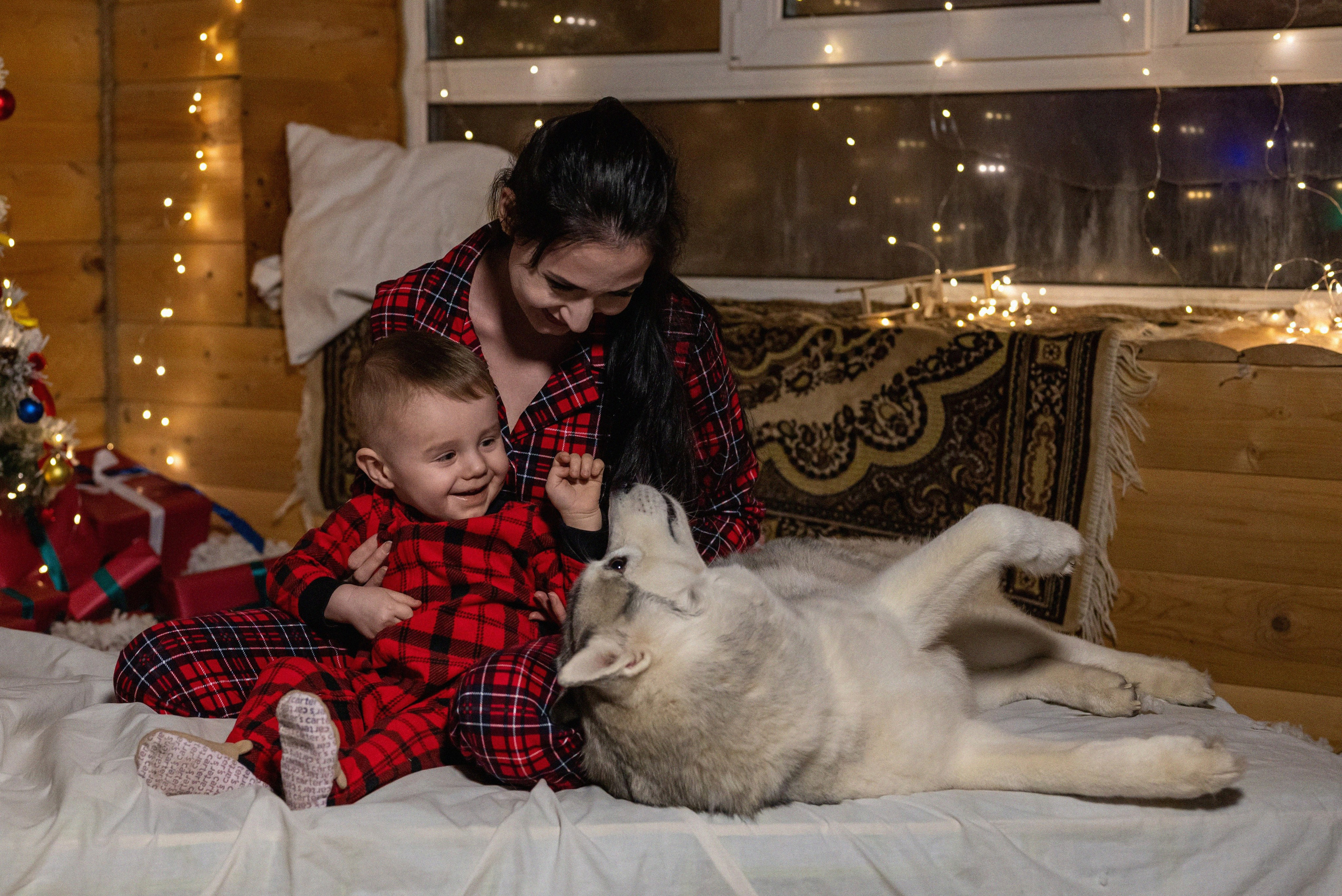 Фотопроект с хаски 2024 г. Фотограф в городе Салават