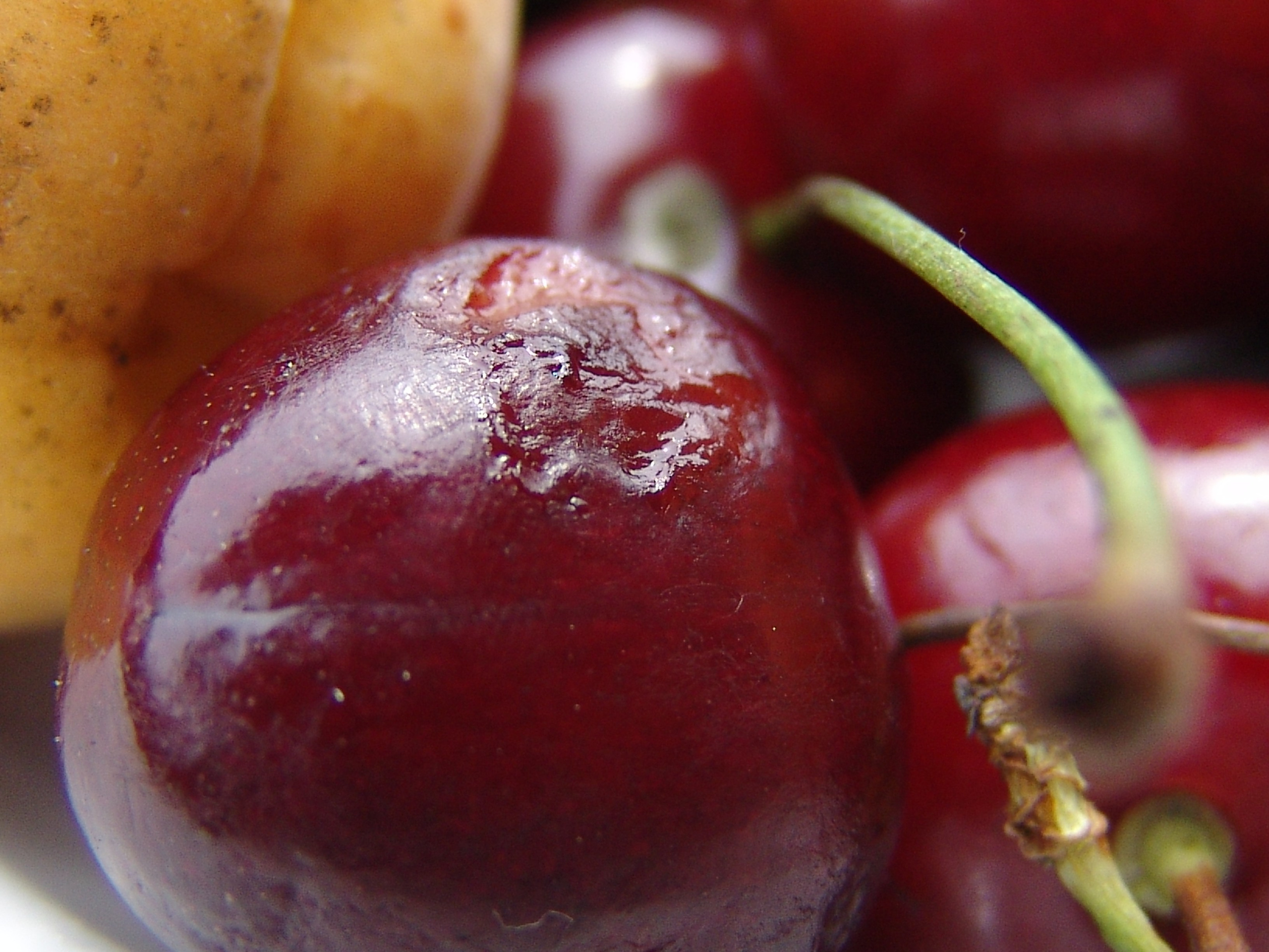 BULENT solonzovo 2005. Заставка