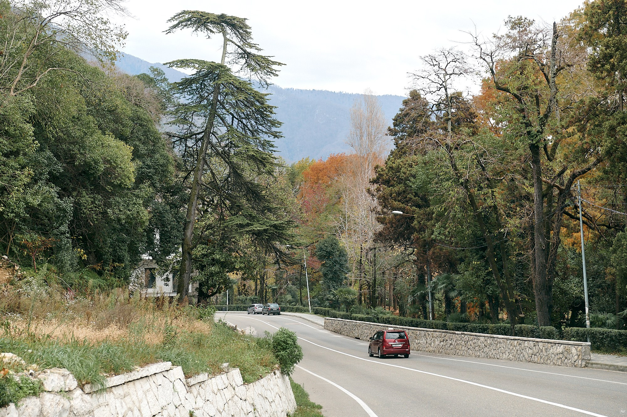 Гагра, Абхазия. Декабрь 2024. Фотографии отовсюду и обо всем
