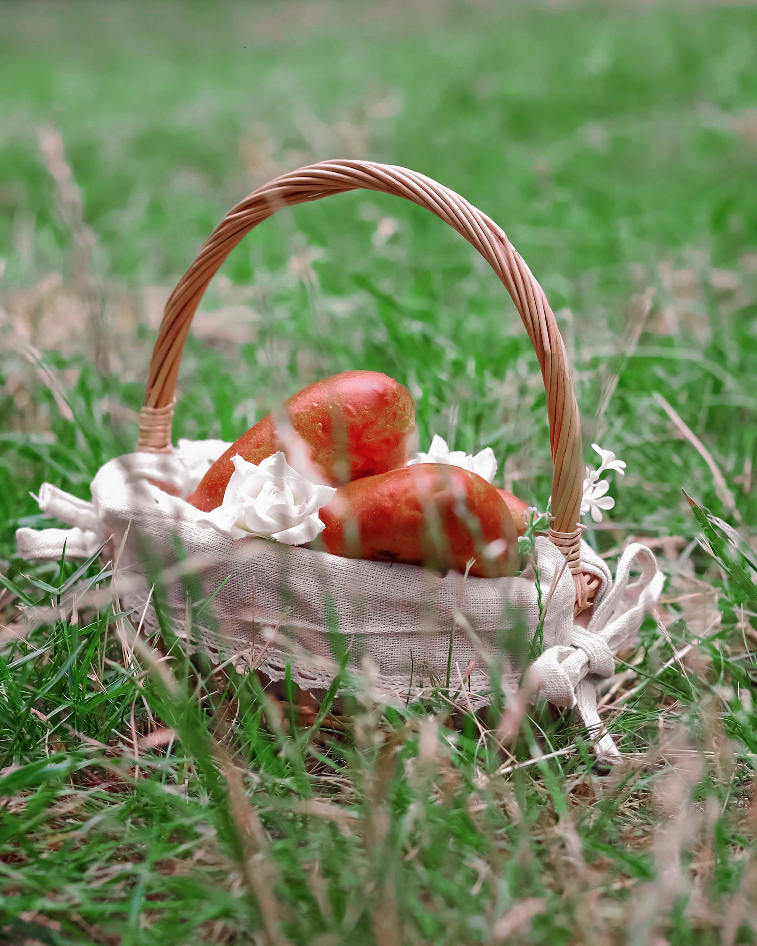 Алиса. Фотограф в городе Ростов-на-Дону Лариса Черных